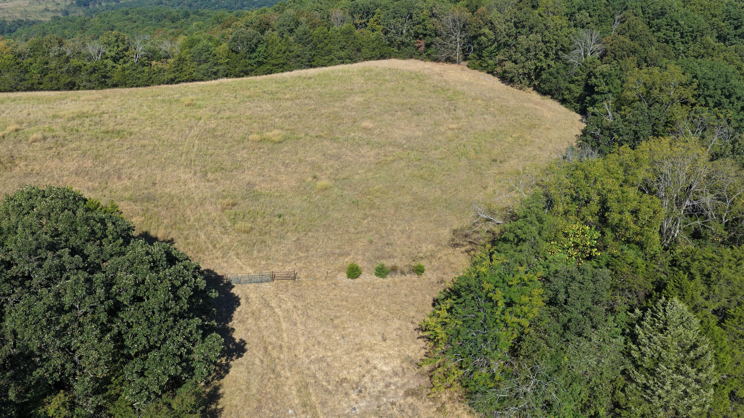 Photo 31 - Land for sale – 000  Ff   Gainesville, MO