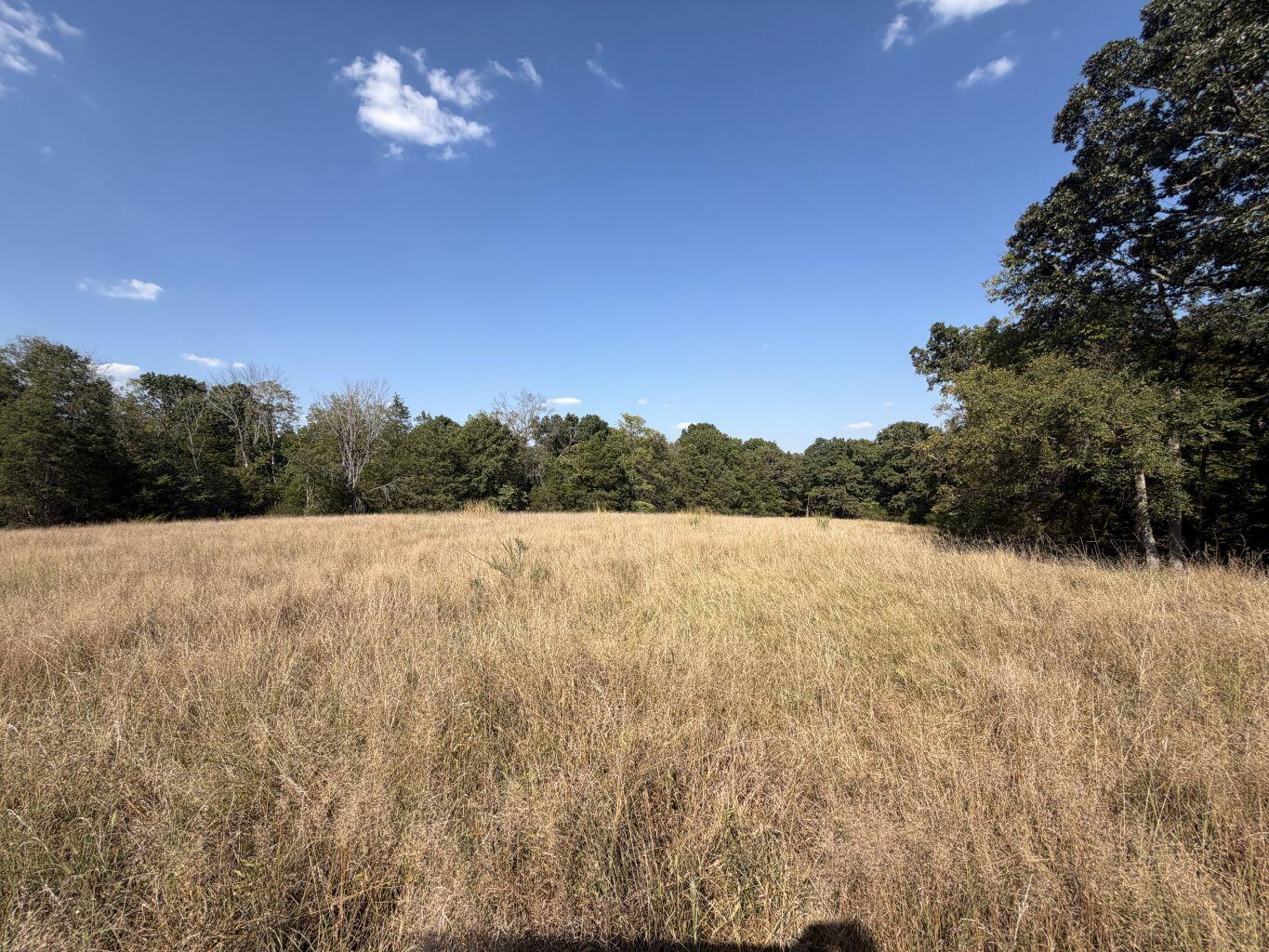 Photo 13 - Land for sale – 000  Ff   Gainesville, MO