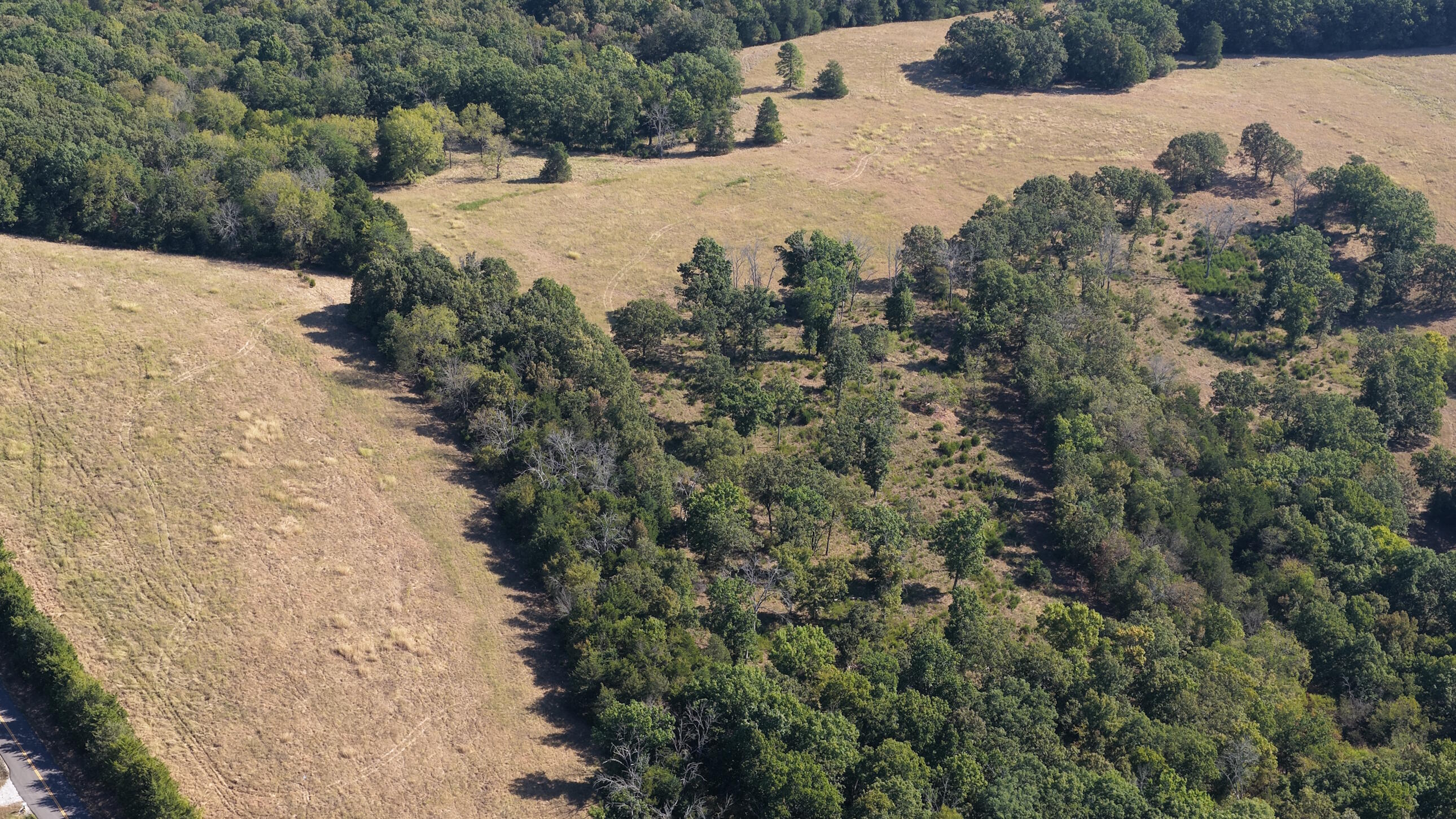 Photo 25 - Land for sale – 000  Ff   Gainesville, MO