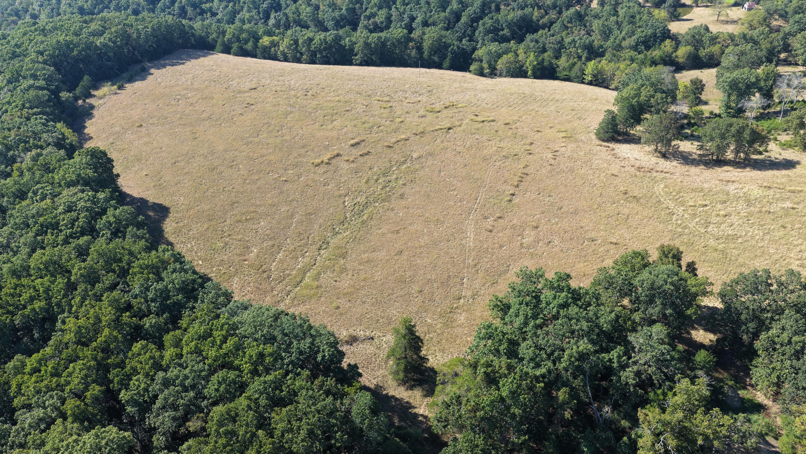 Photo 37 - Land for sale – 000  Ff   Gainesville, MO