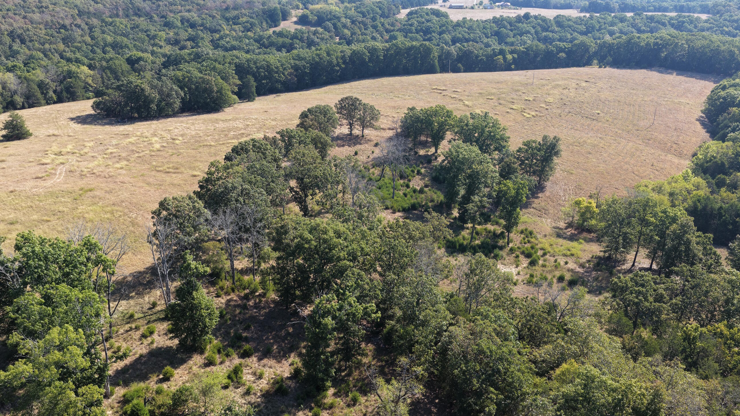 Photo 30 - Land for sale – 000  Ff   Gainesville, MO