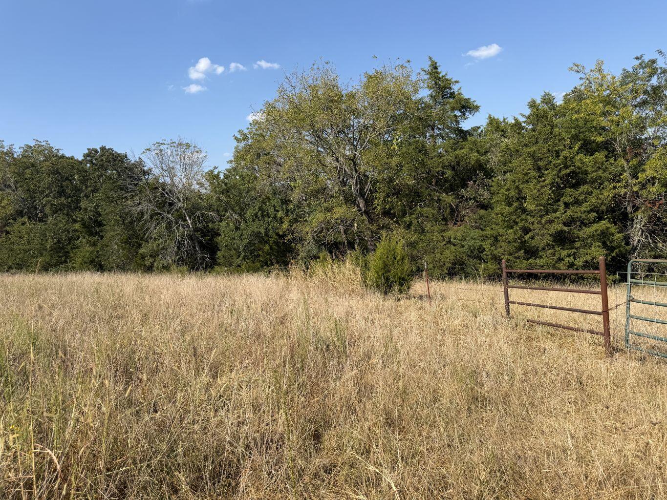 Photo 7 - Land for sale – 000  Ff   Gainesville, MO