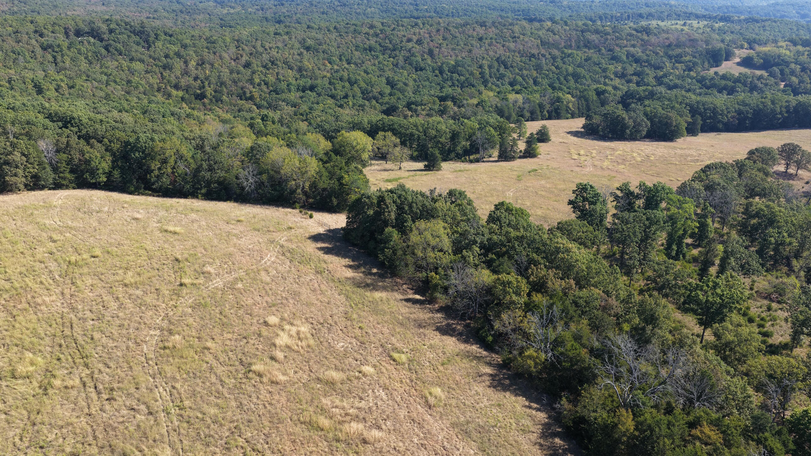 Photo 40 - Land for sale – 000  Ff   Gainesville, MO