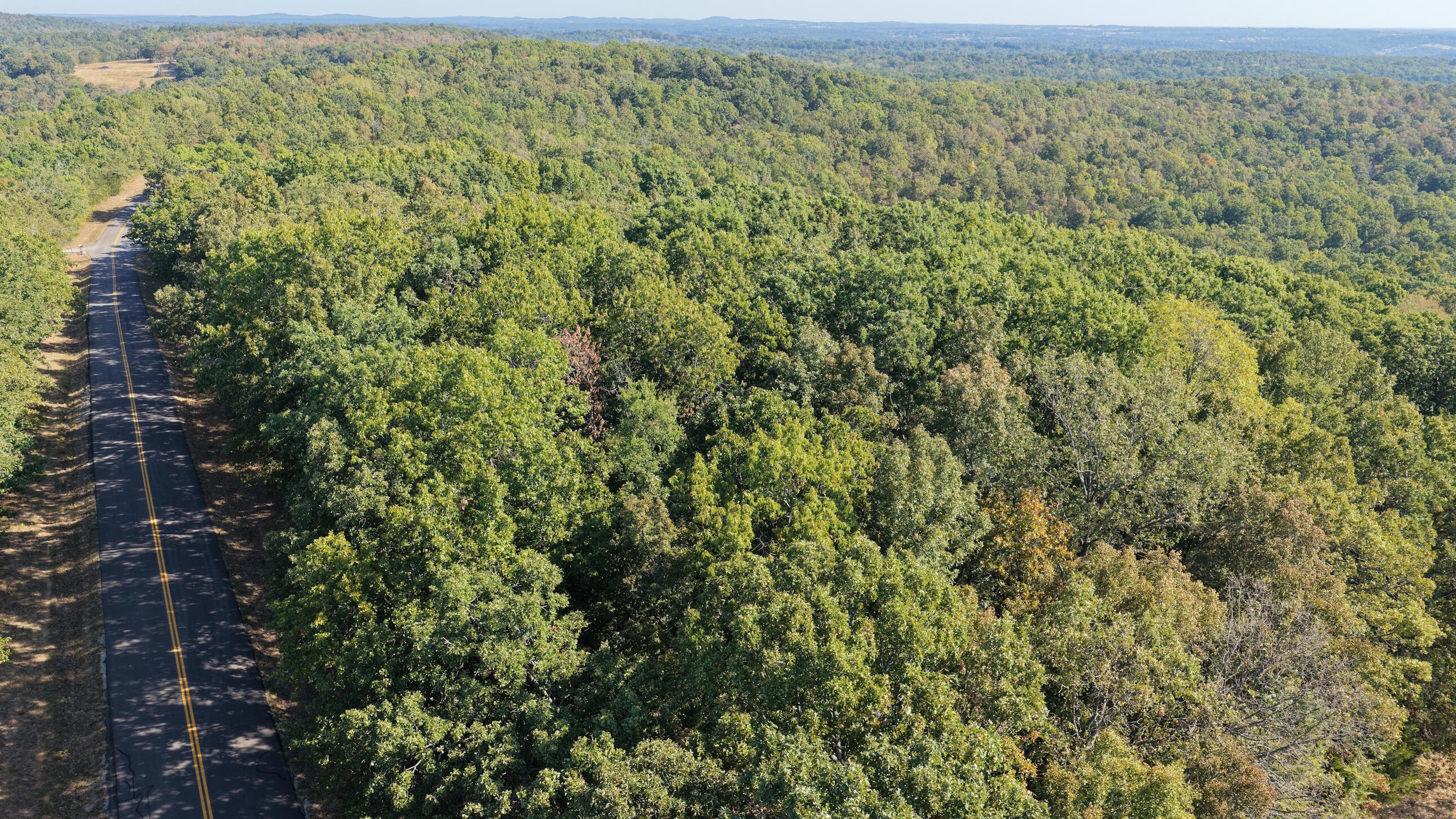 Photo 34 - Land for sale – 000  Ff   Gainesville, MO