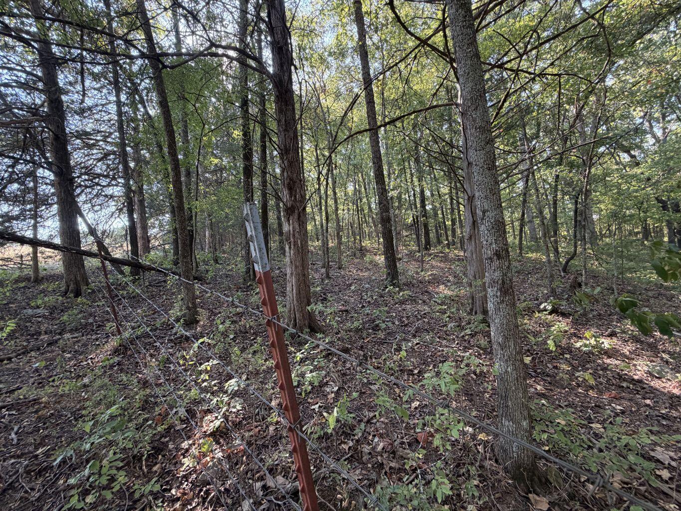 Photo 20 - Land for sale – 000  Ff   Gainesville, MO