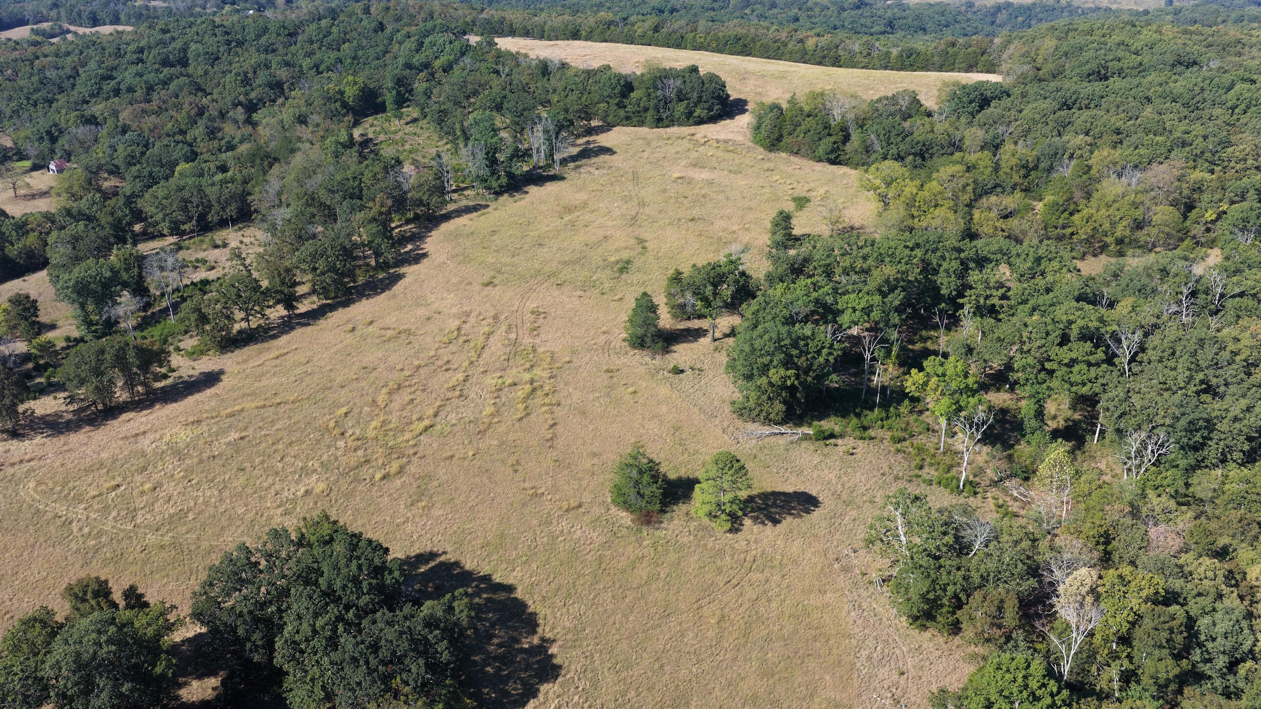 Photo 38 - Land for sale – 000  Ff   Gainesville, MO