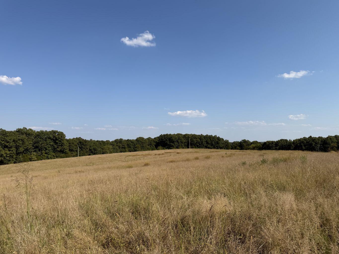 Photo 14 - Land for sale – 000  Ff   Gainesville, MO