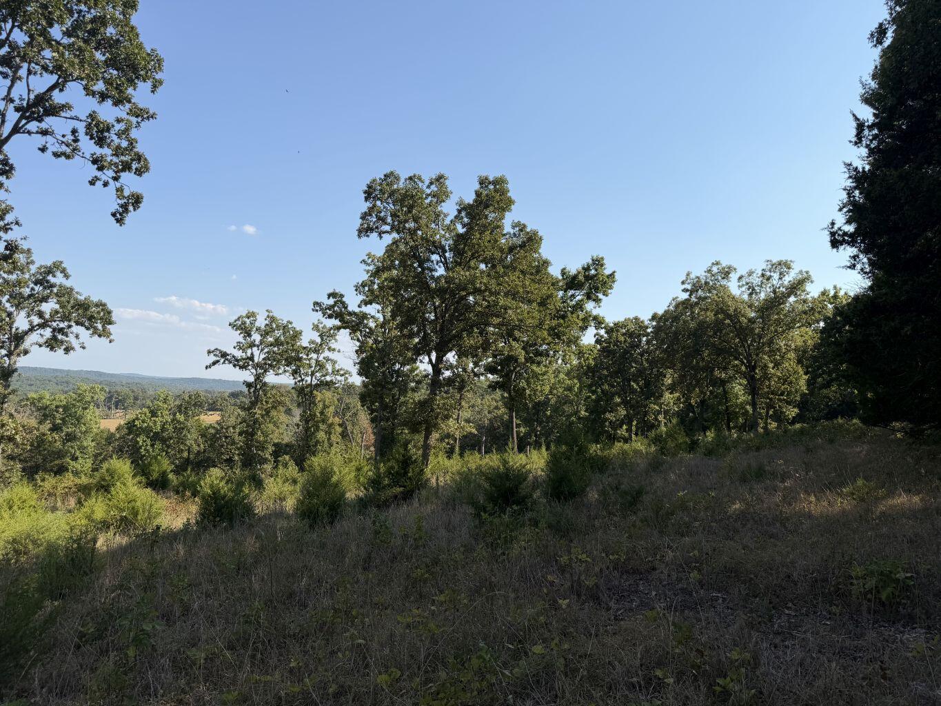 Photo 9 - Land for sale – 000  Ff   Gainesville, MO