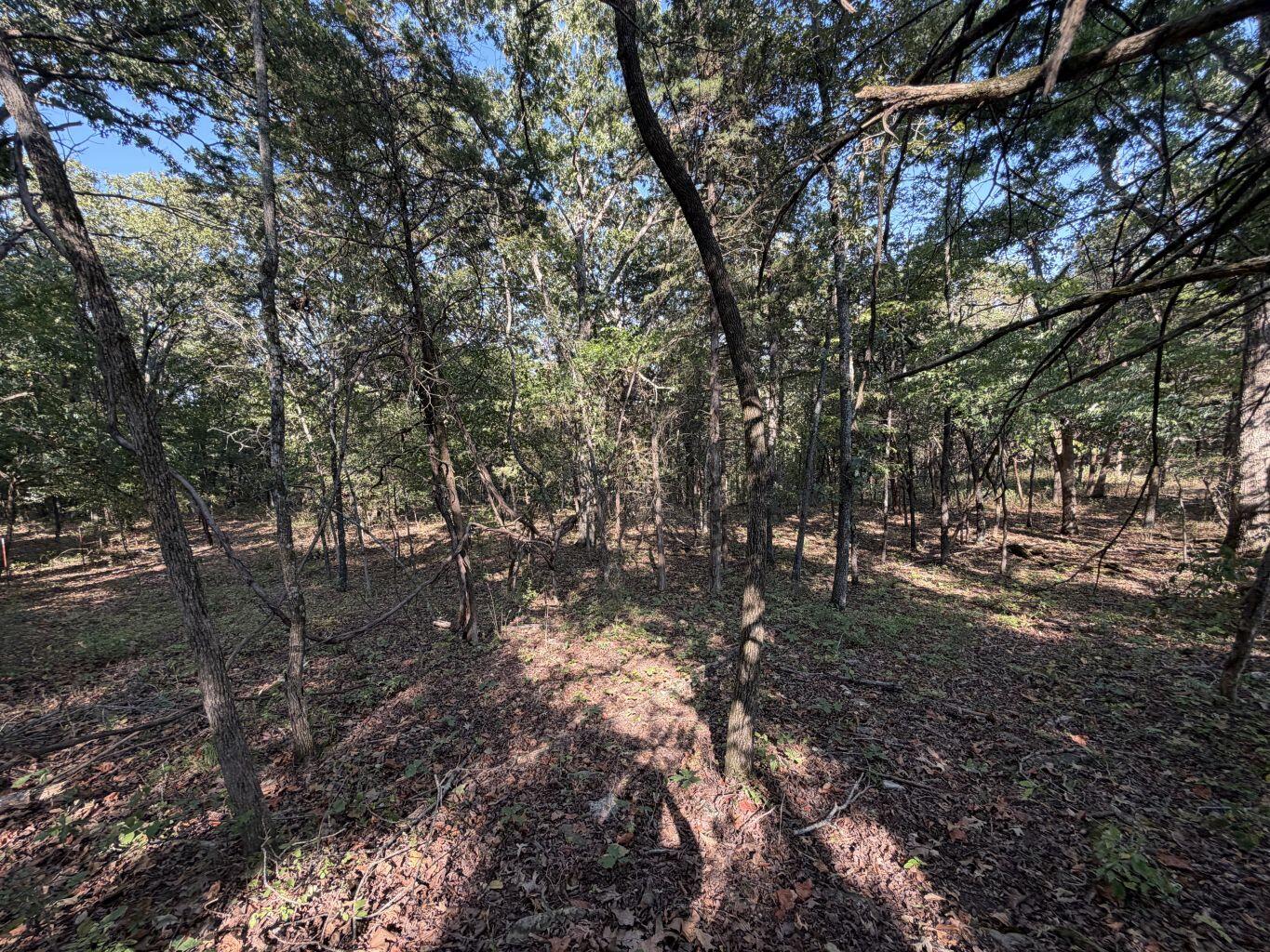 Photo 22 - Land for sale – 000  Ff   Gainesville, MO