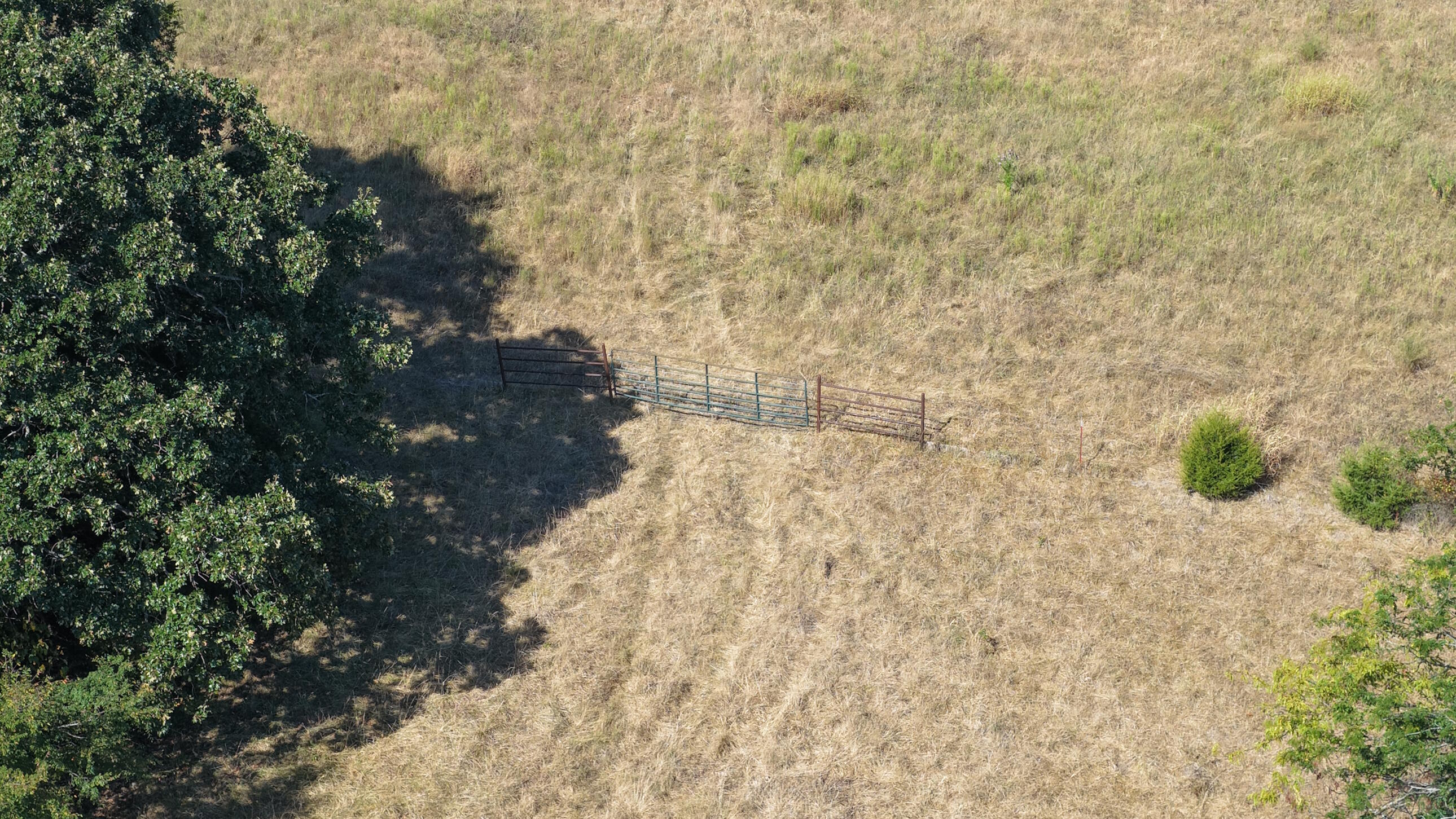 Photo 32 - Land for sale – 000  Ff   Gainesville, MO