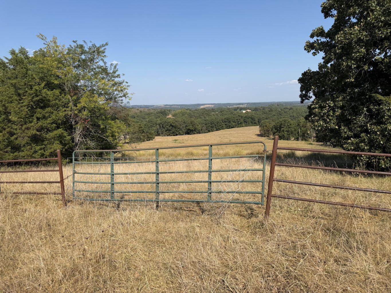 Photo 2 - Land for sale – 000  Ff   Gainesville, MO