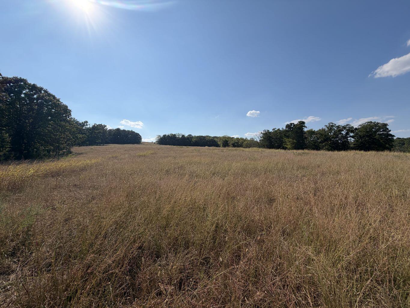 Photo 17 - Land for sale – 000  Ff   Gainesville, MO