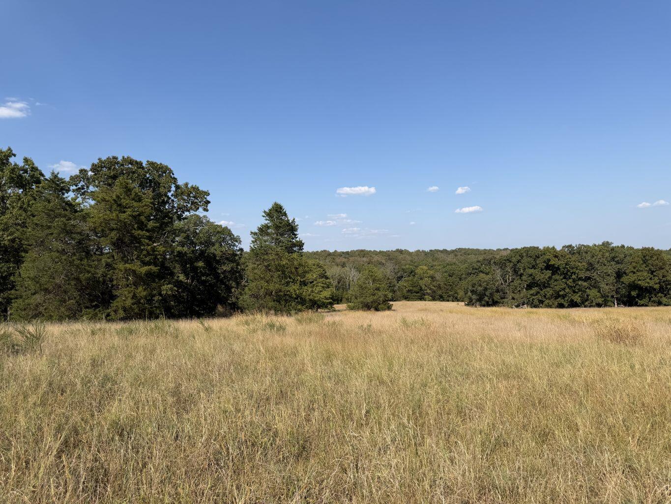 Photo 11 - Land for sale – 000  Ff   Gainesville, MO