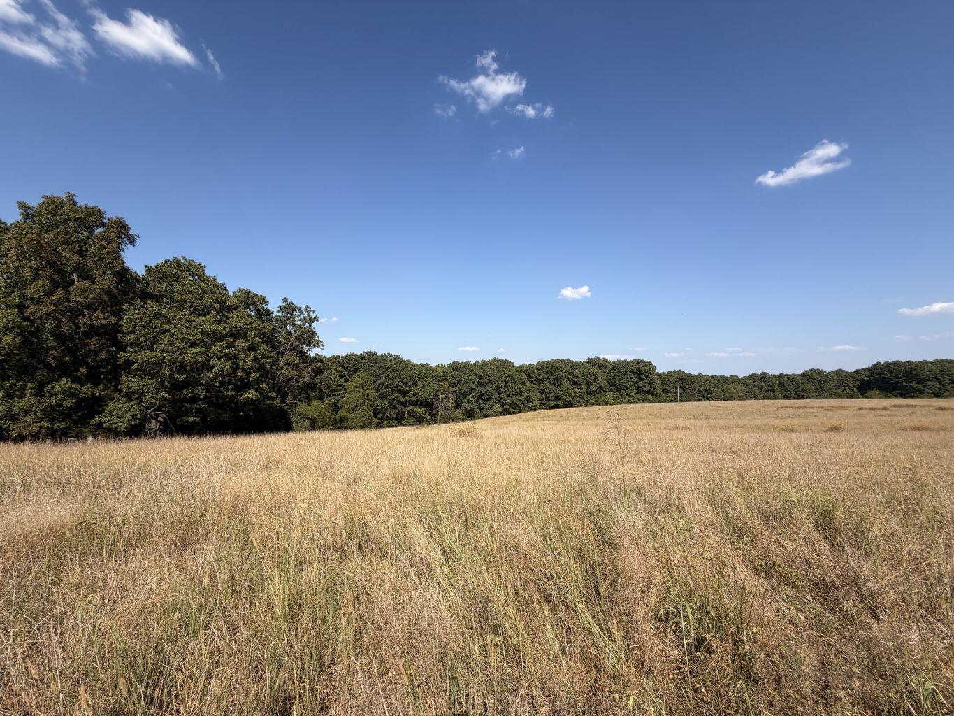 Photo 15 - Land for sale – 000  Ff   Gainesville, MO