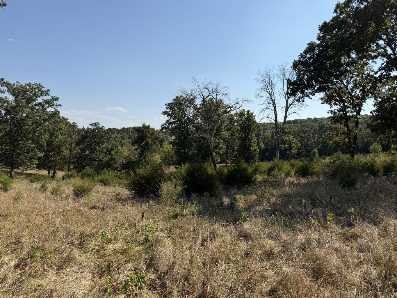 Photo 16 - Land for sale – 000  Ff   Gainesville, MO