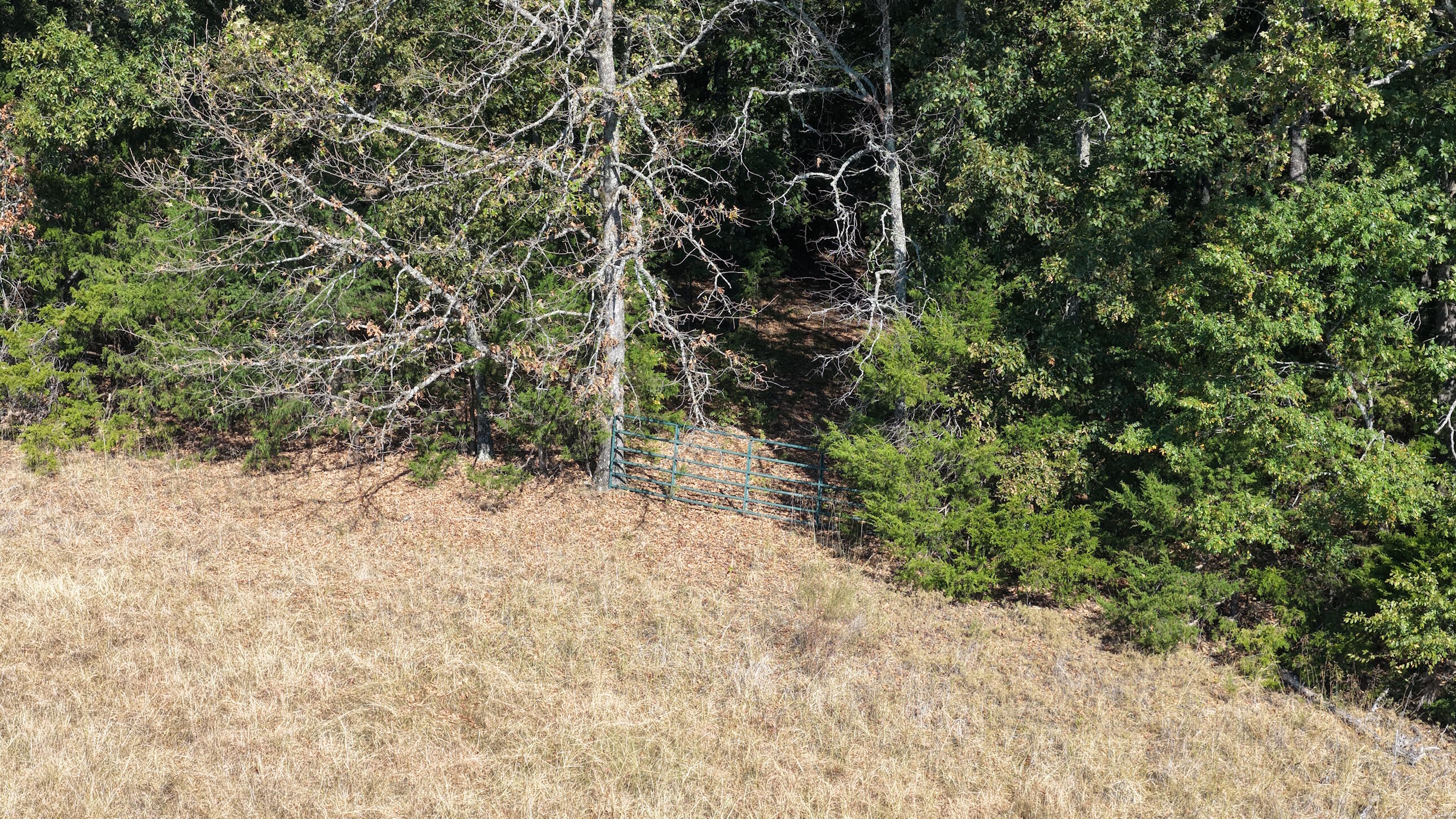 Photo 35 - Land for sale – 000  Ff   Gainesville, MO