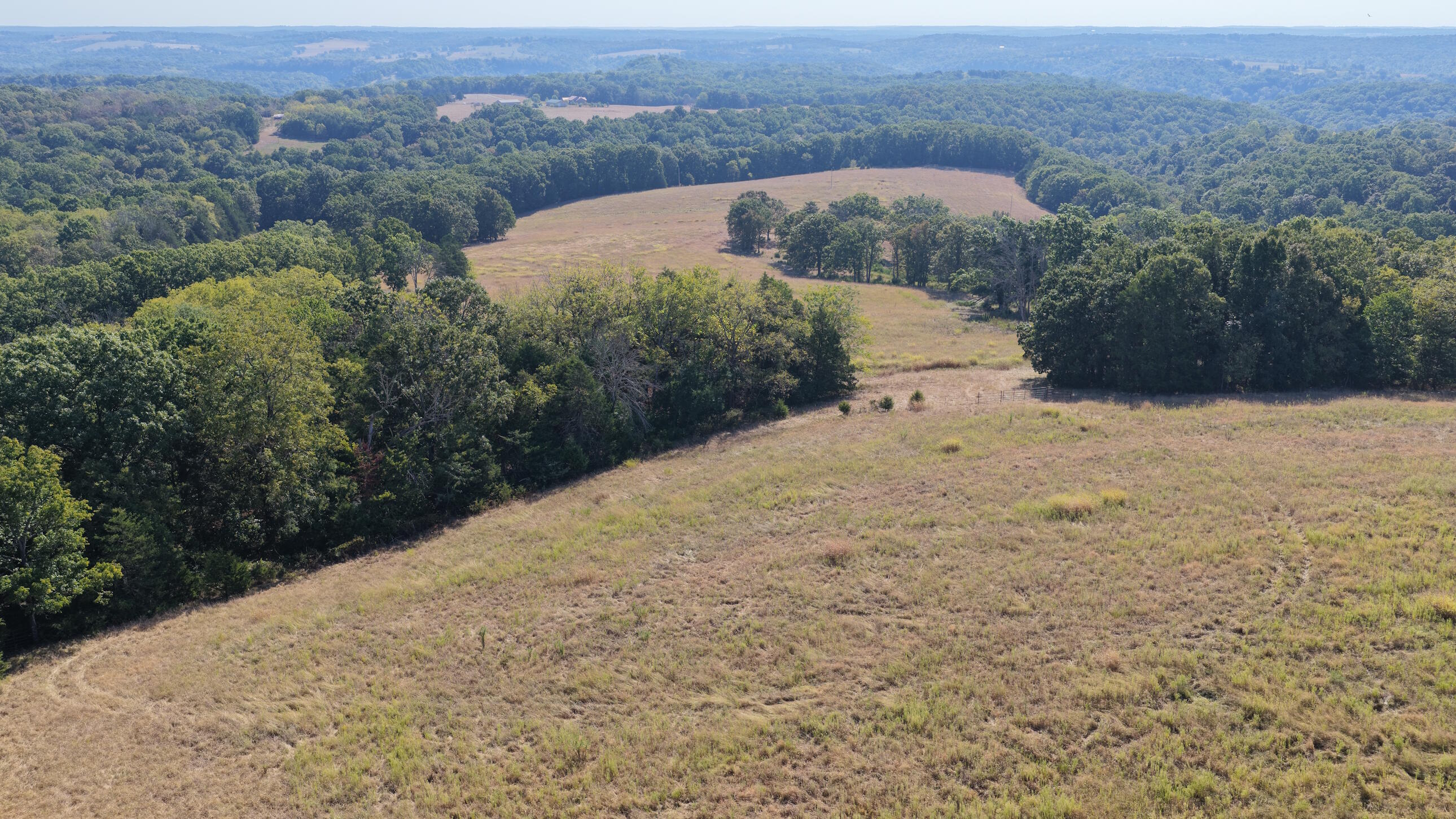 Photo 36 - Land for sale – 000  Ff   Gainesville, MO