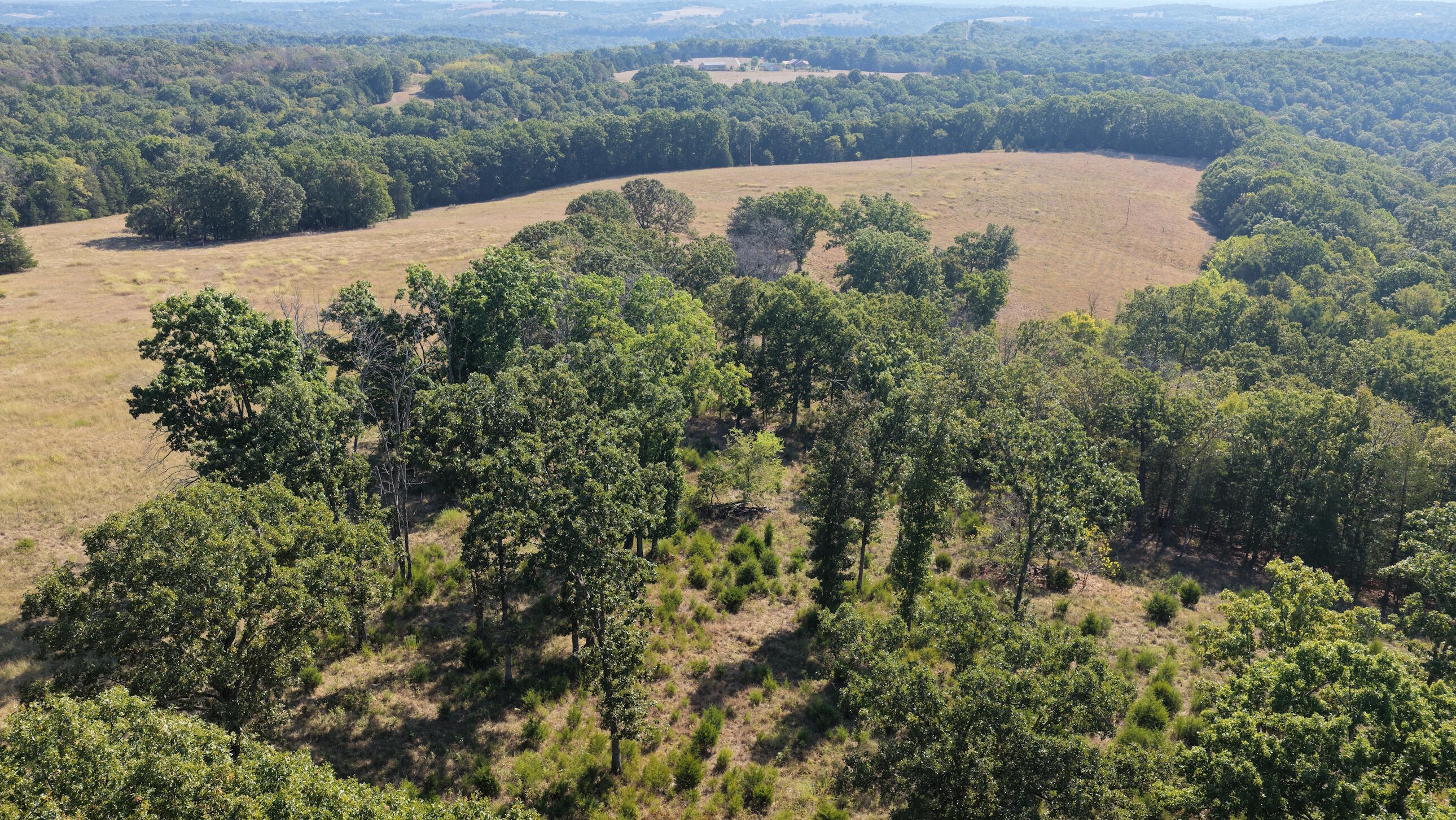 Photo 29 - Land for sale – 000  Ff   Gainesville, MO