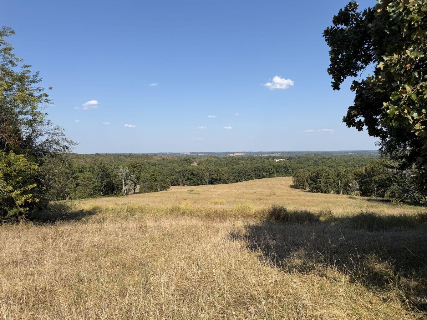 Photo 18 - Land for sale – 000  Ff   Gainesville, MO