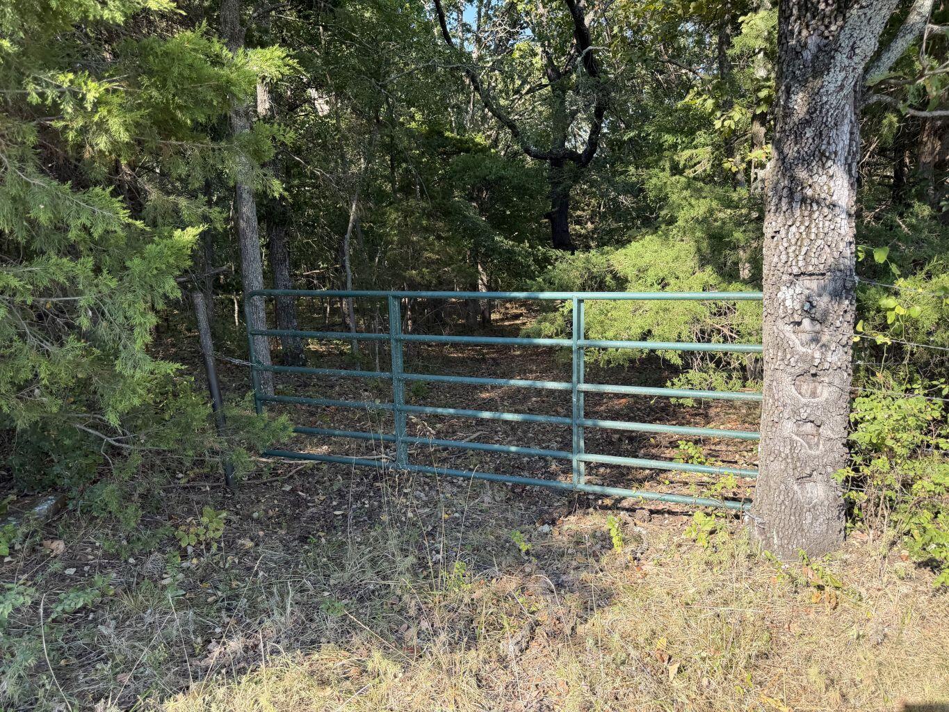Photo 23 - Land for sale – 000  Ff   Gainesville, MO