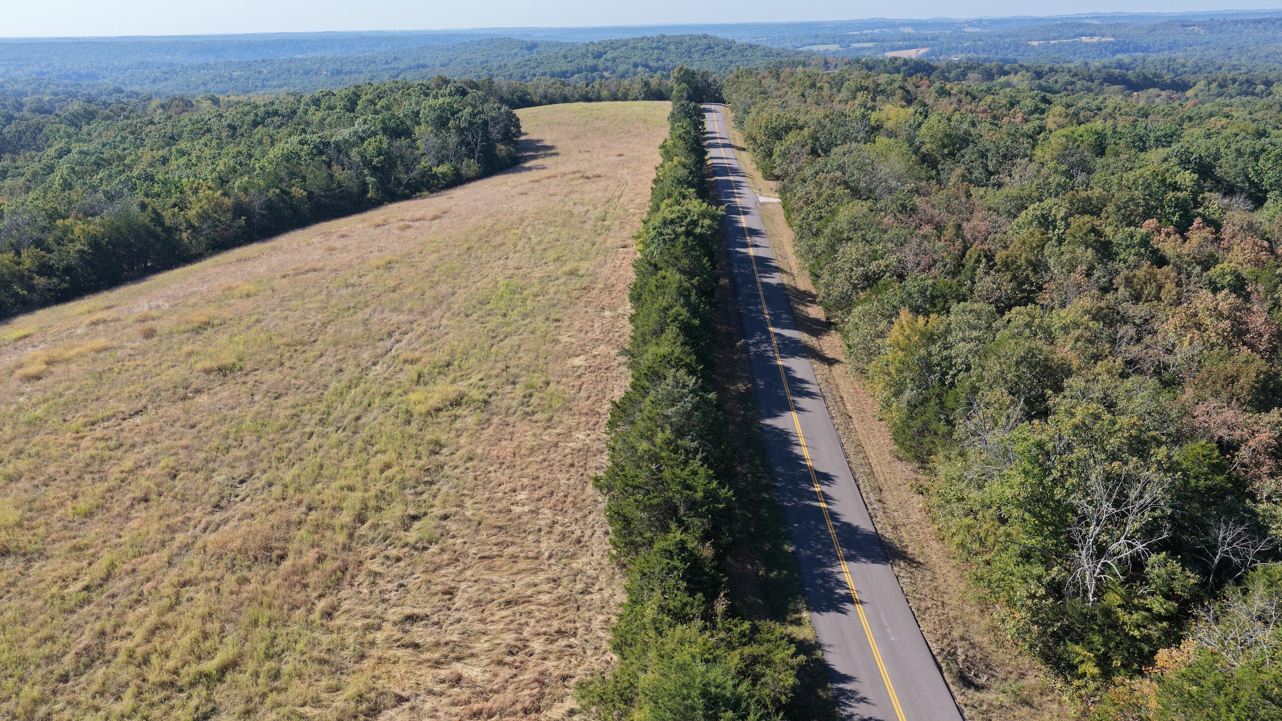 Photo 33 - Land for sale – 000  Ff   Gainesville, MO
