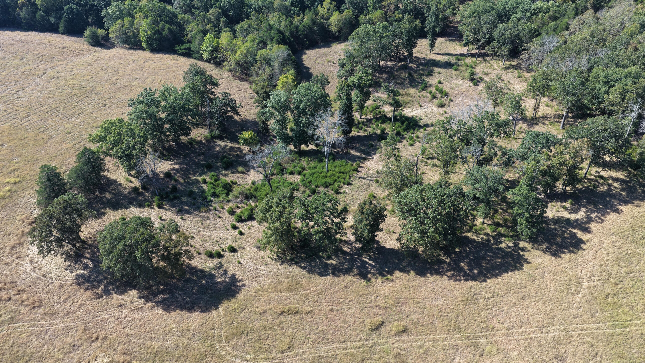 Photo 39 - Land for sale – 000  Ff   Gainesville, MO