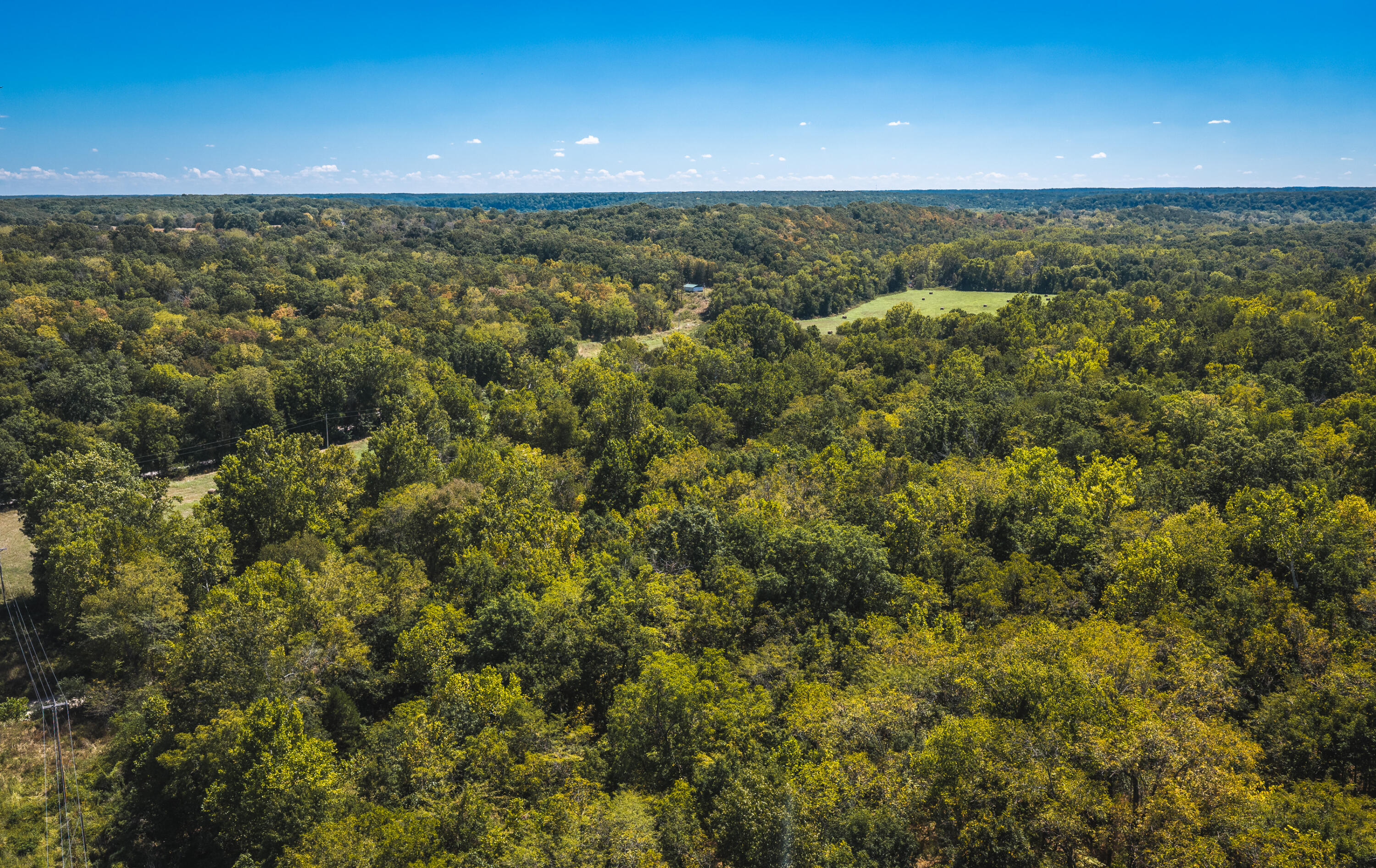 Photo 7 - Land for sale – 000  Missouri Road Mm   Windyville, MO