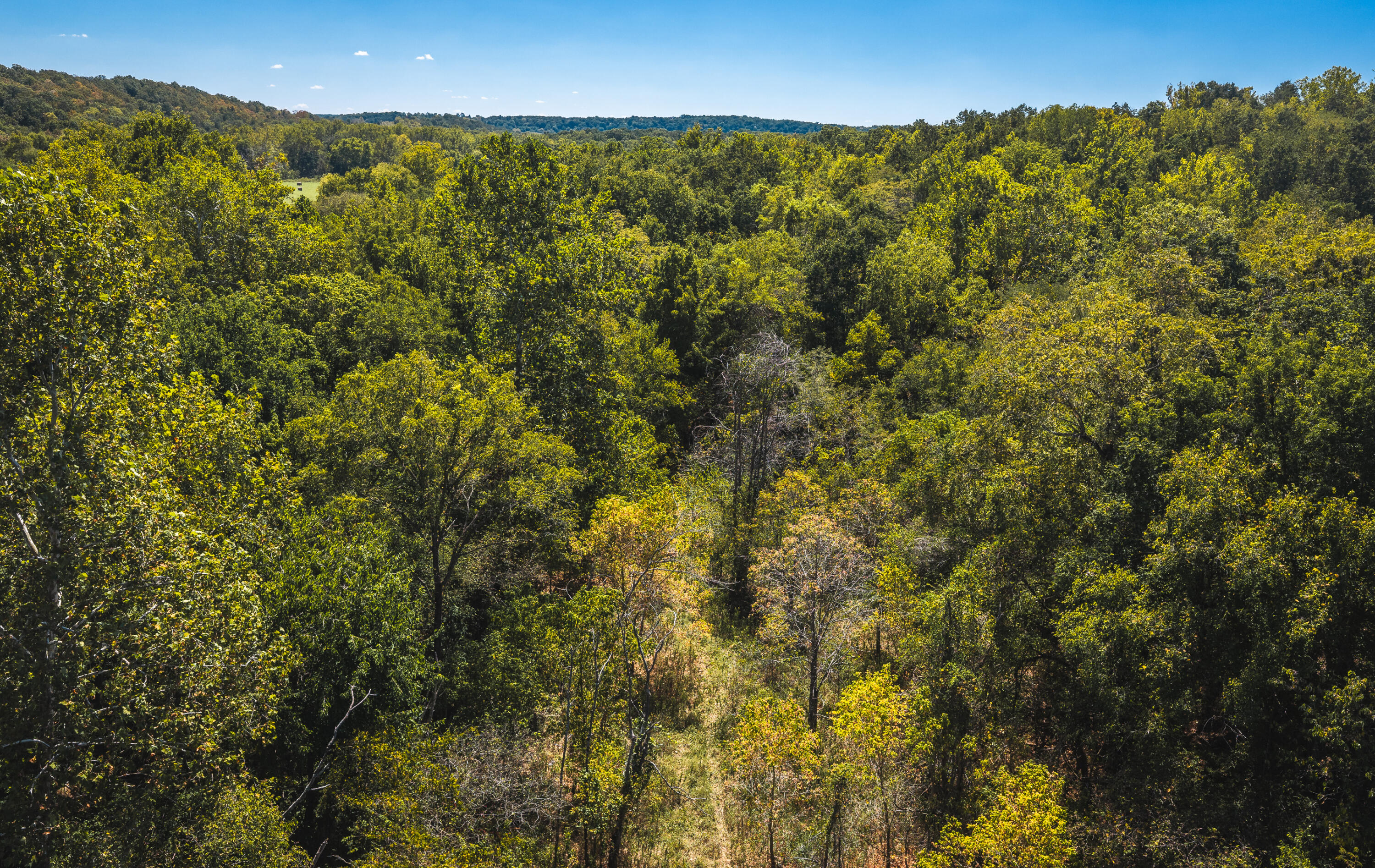 Photo 17 - Land for sale – 000  Missouri Road Mm   Windyville, MO