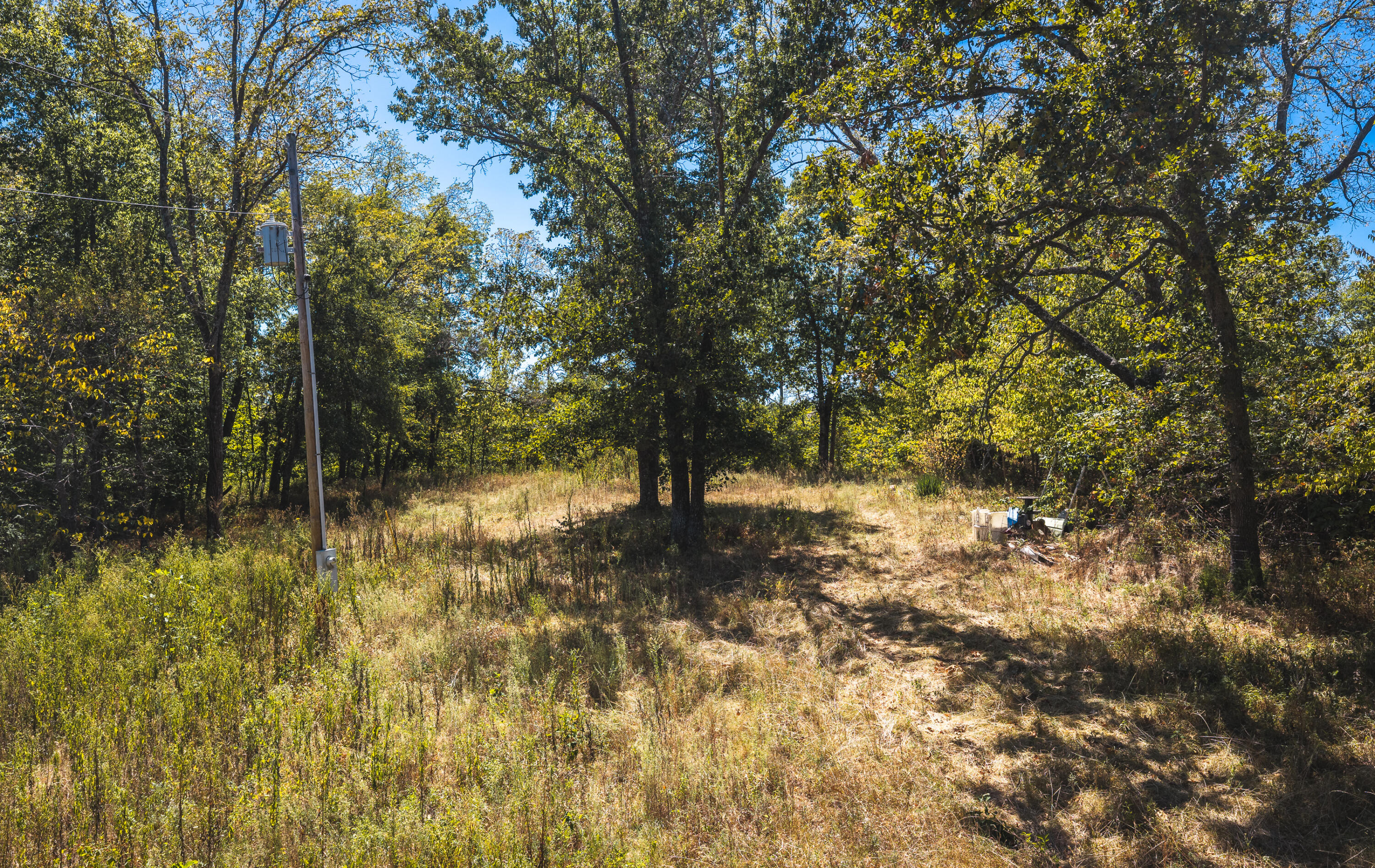 Photo 4 - Land for sale – 000  Missouri Road Mm   Windyville, MO