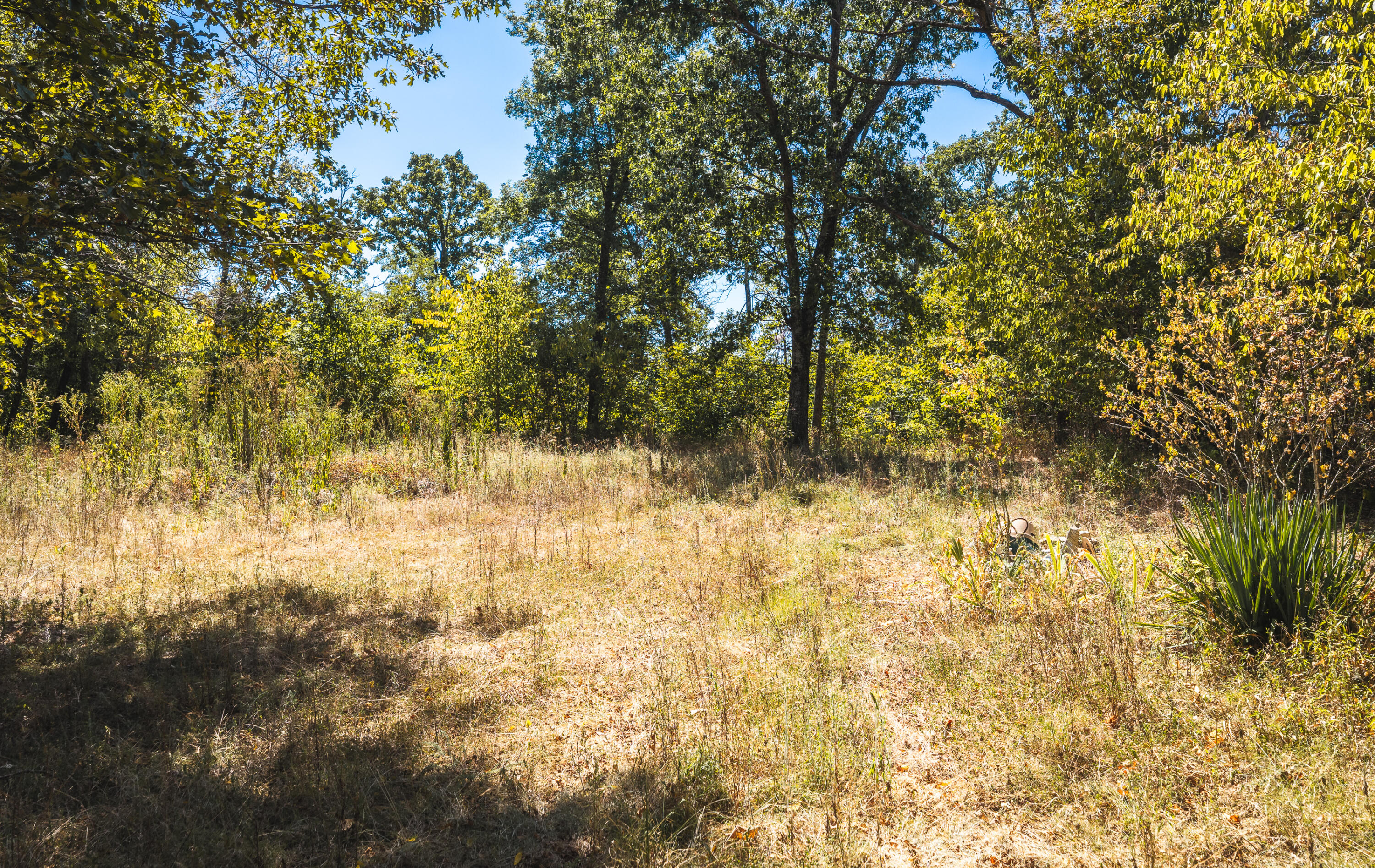 Photo 11 - Land for sale – 000  Missouri Road Mm   Windyville, MO