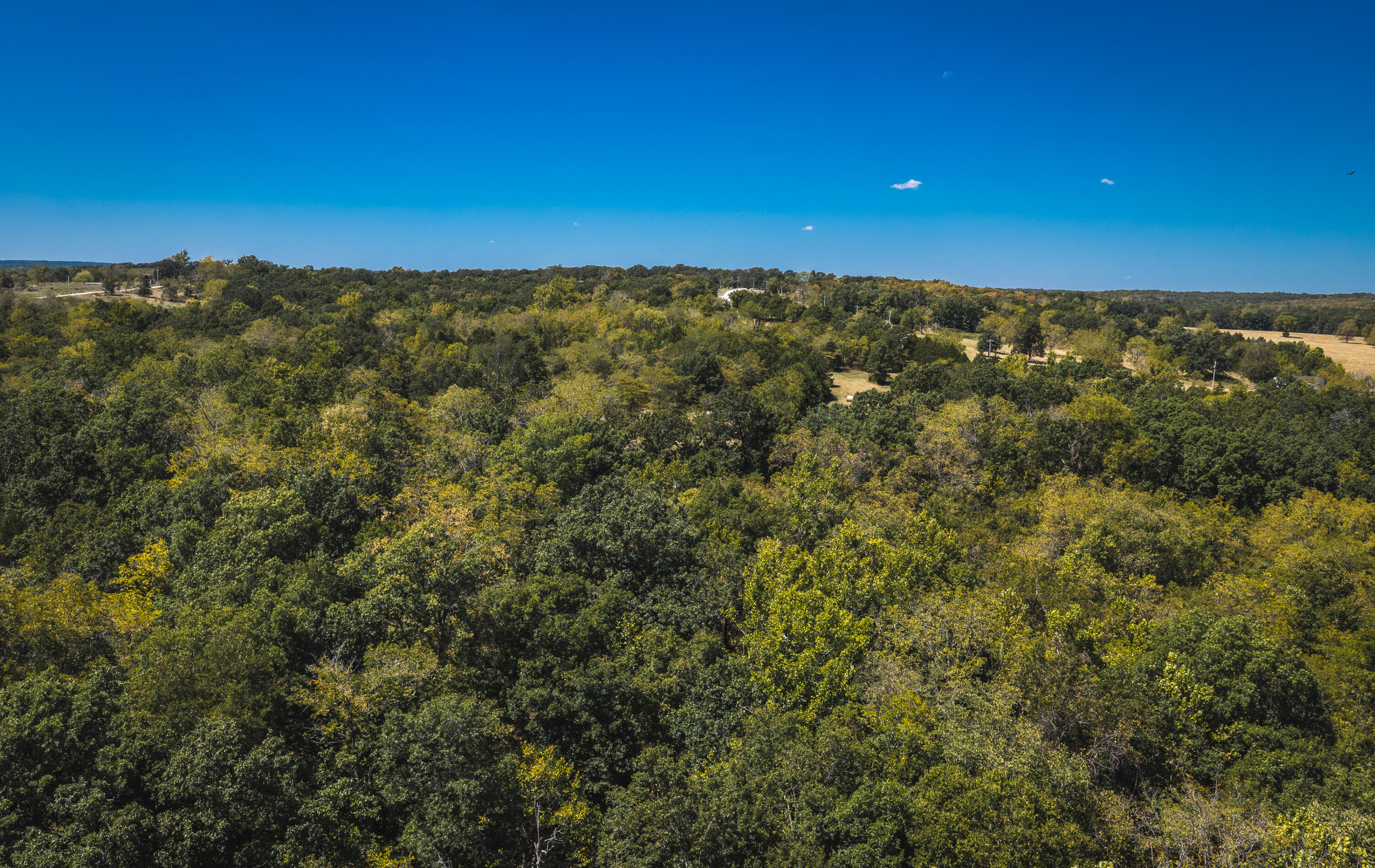 Photo 28 - Land for sale – 000  Missouri Road Mm   Windyville, MO