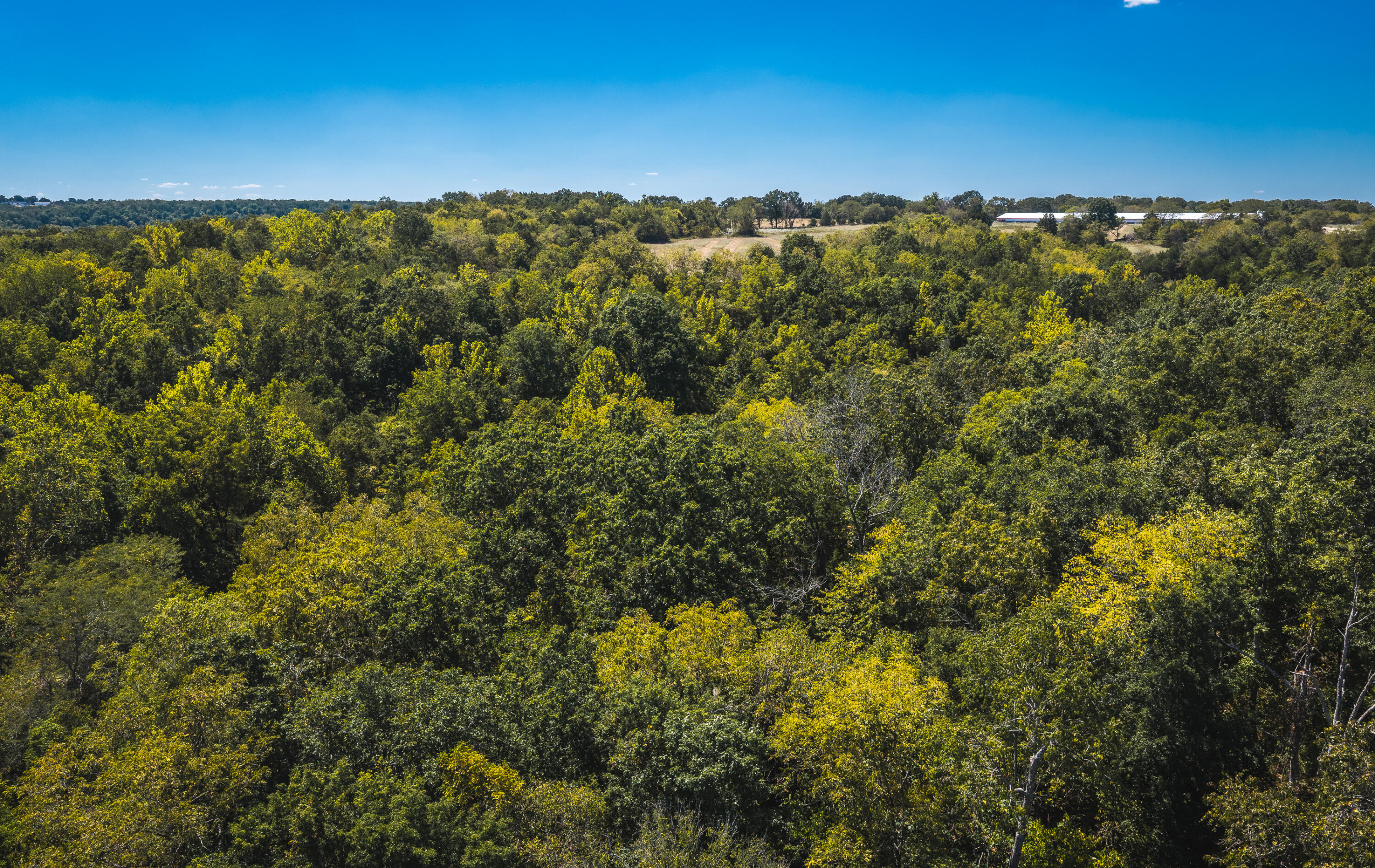 Photo 18 - Land for sale – 000  Missouri Road Mm   Windyville, MO