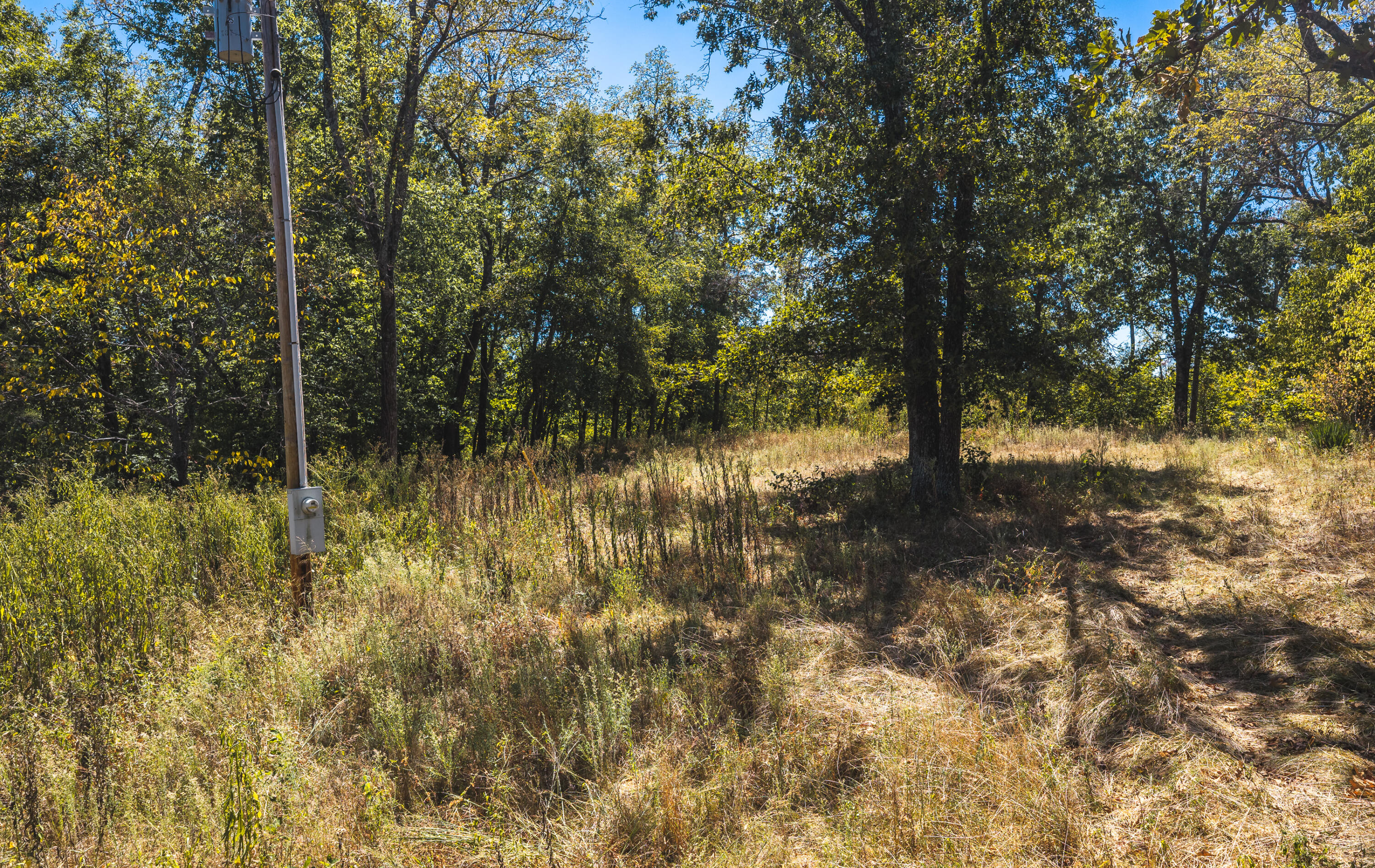 Photo 10 - Land for sale – 000  Missouri Road Mm   Windyville, MO