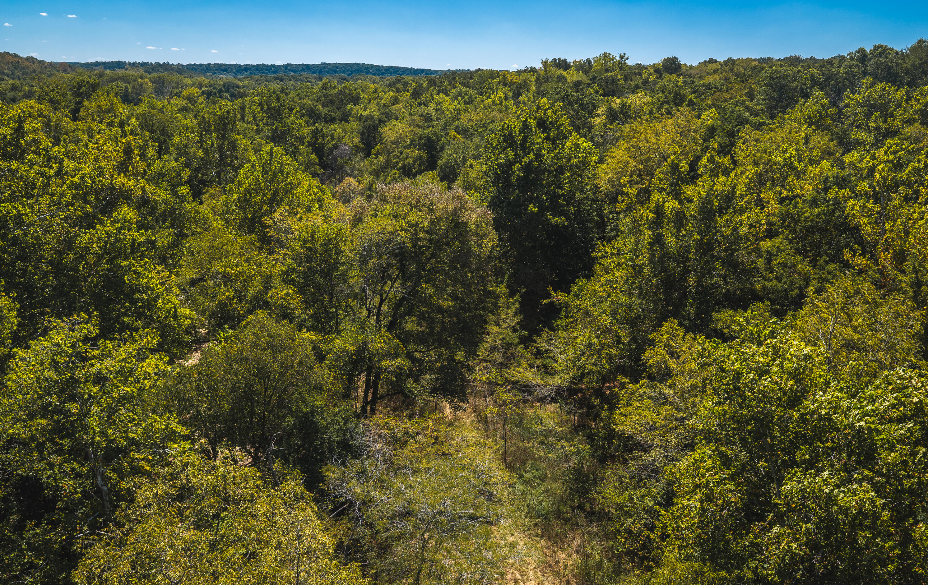 Photo 24 - Land for sale – 000  Missouri Road Mm   Windyville, MO