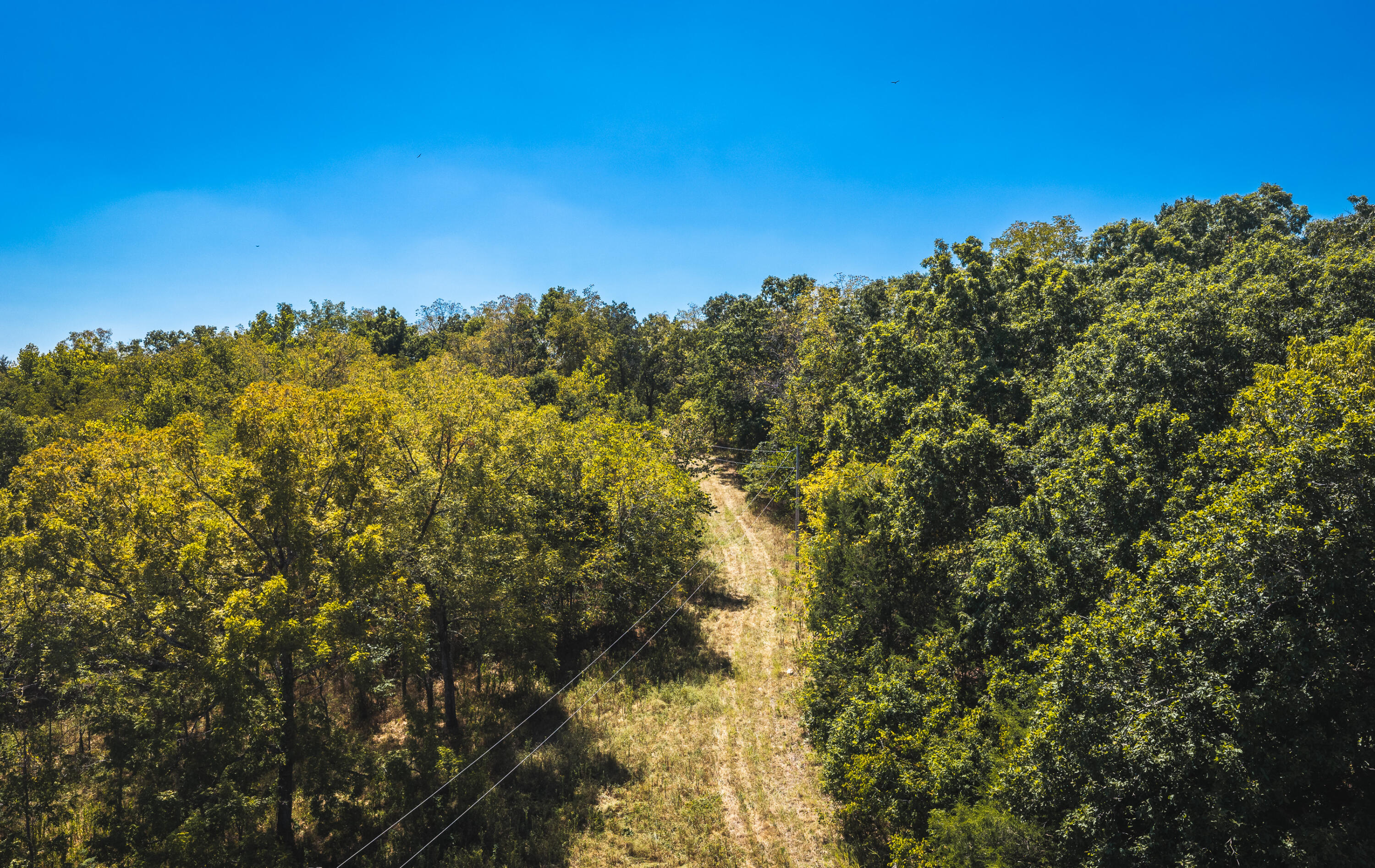 Photo 5 - Land for sale – 000  Missouri Road Mm   Windyville, MO
