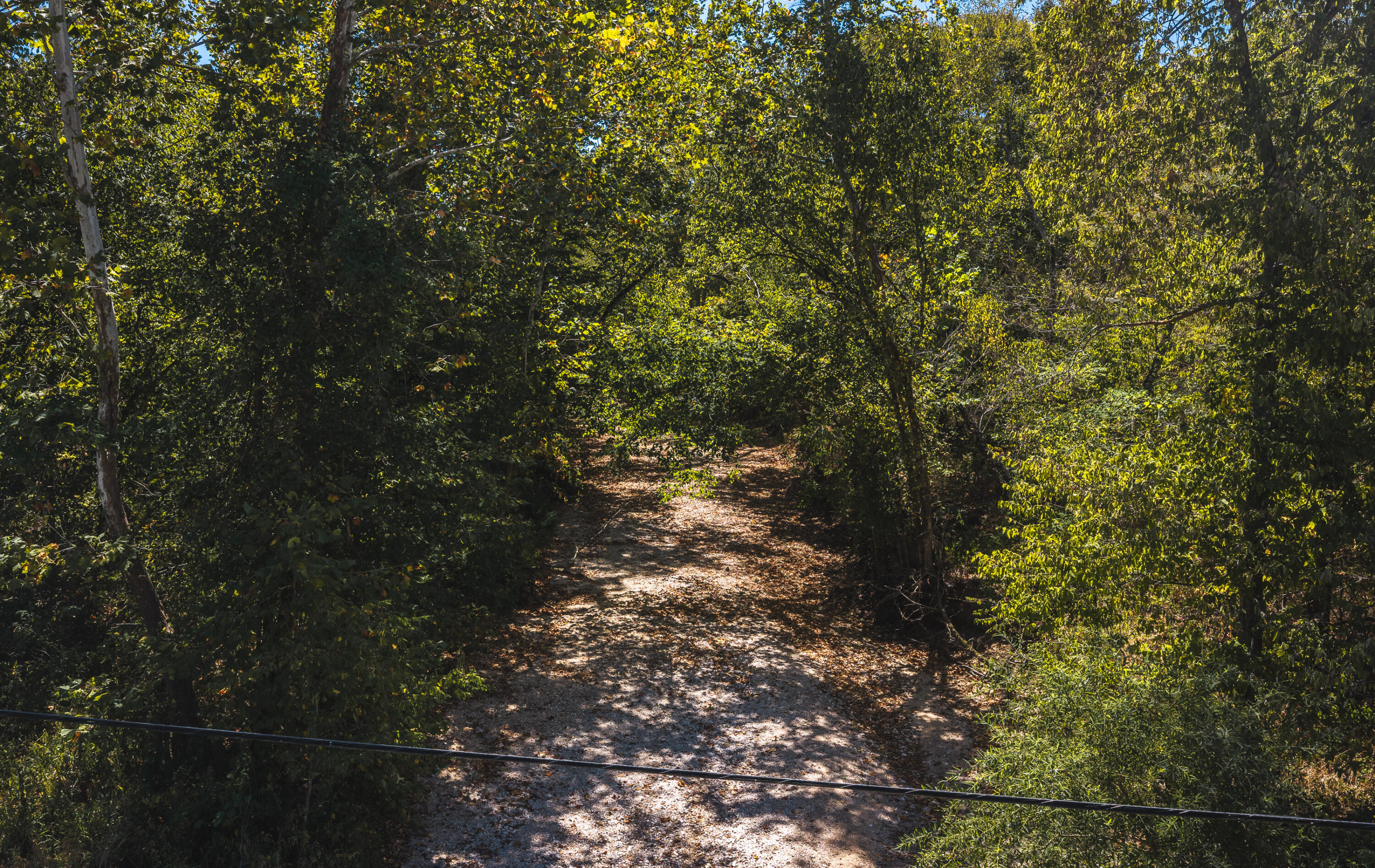 Photo 22 - Land for sale – 000  Missouri Road Mm   Windyville, MO
