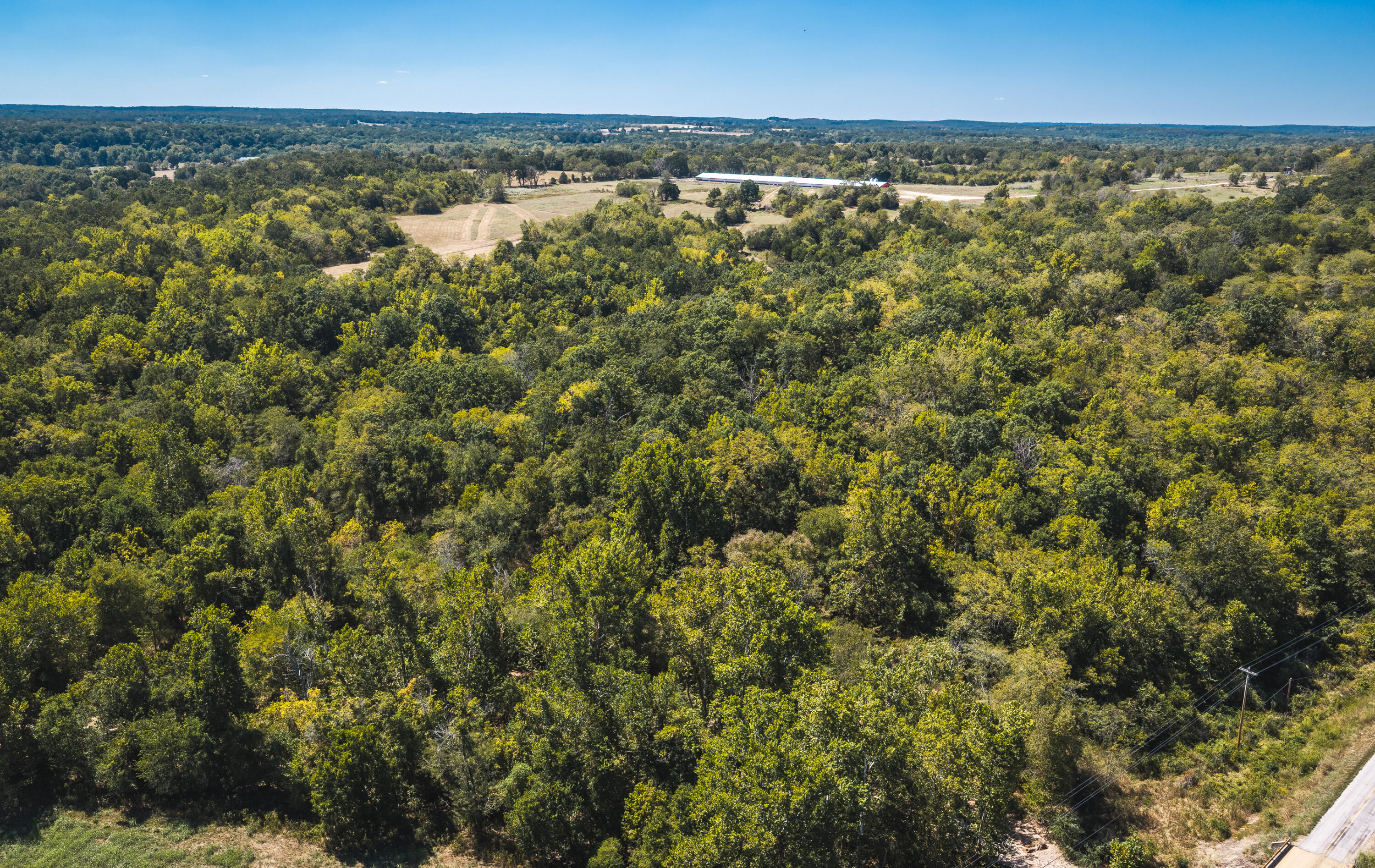 Photo 21 - Land for sale – 000  Missouri Road Mm   Windyville, MO