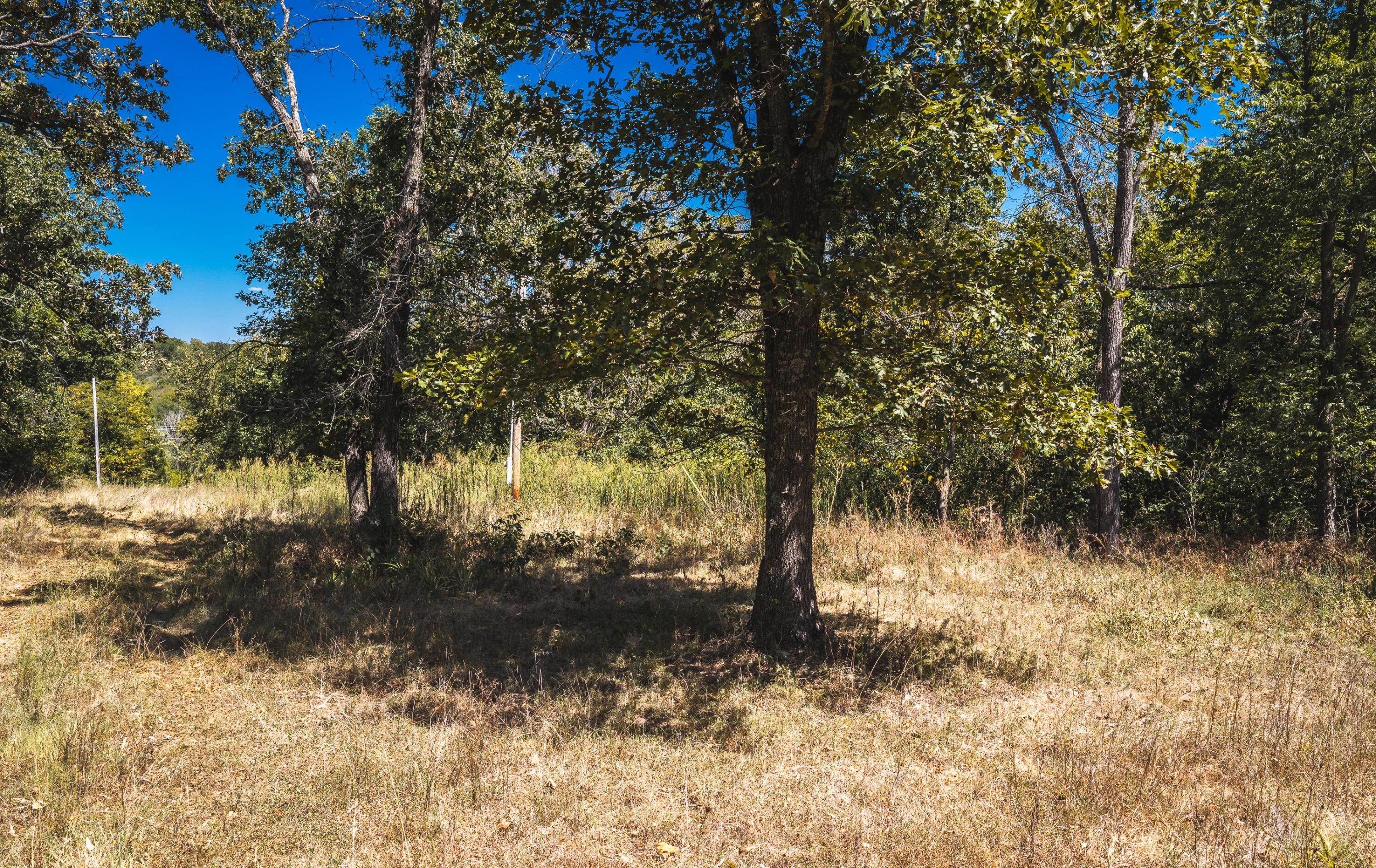 Photo 12 - Land for sale – 000  Missouri Road Mm   Windyville, MO