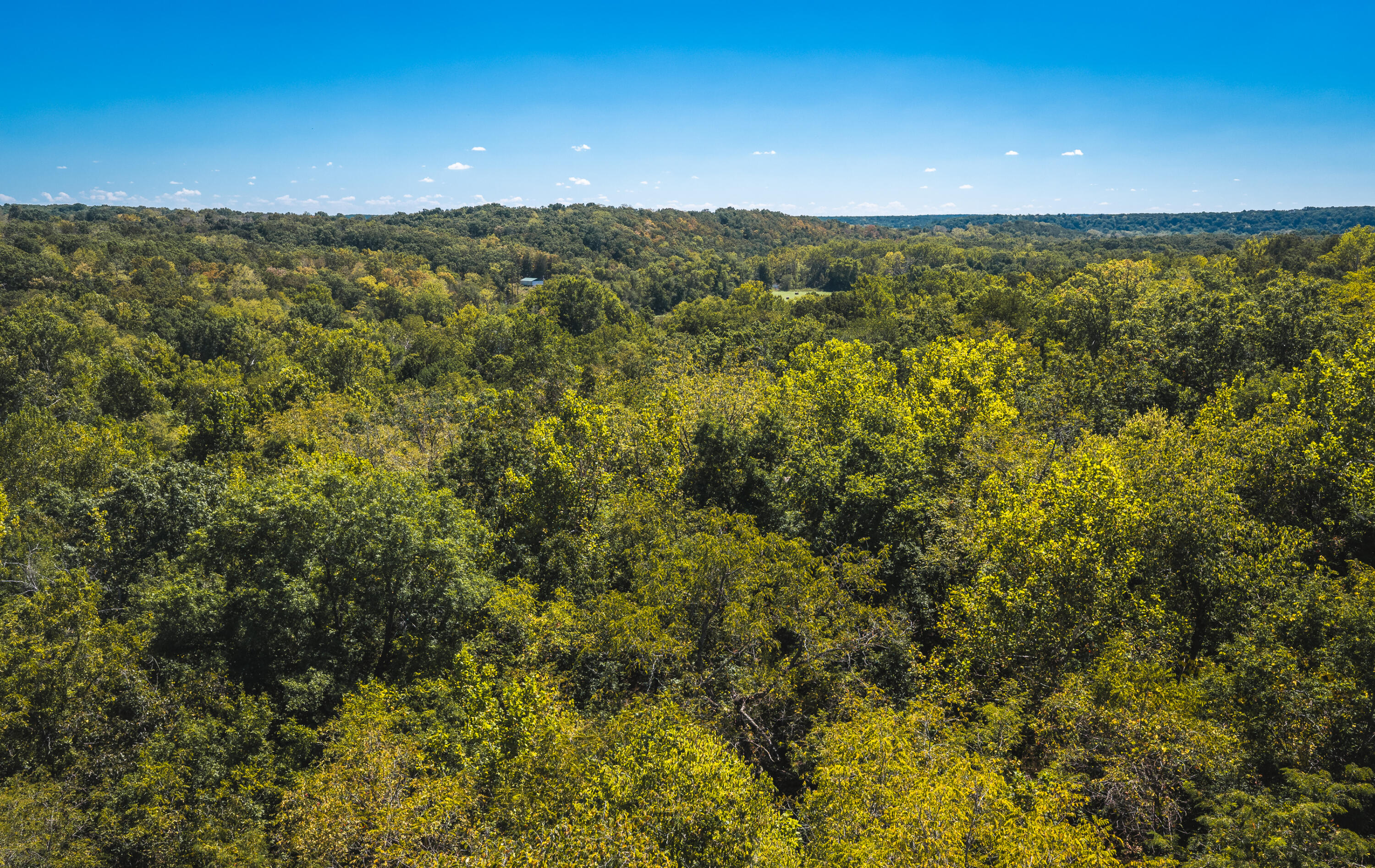 Photo 15 - Land for sale – 000  Missouri Road Mm   Windyville, MO