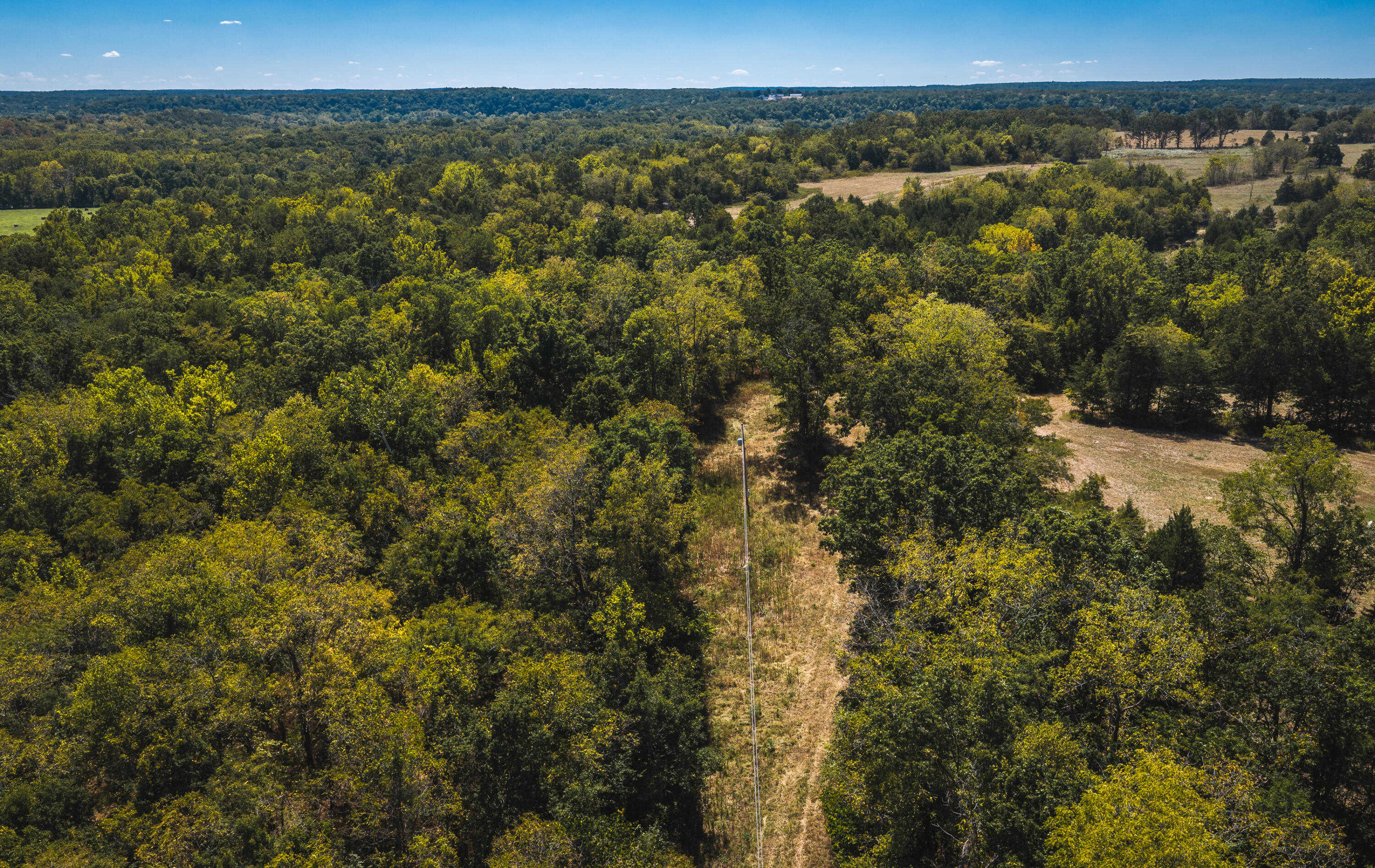 Photo 6 - Land for sale – 000  Missouri Road Mm   Windyville, MO