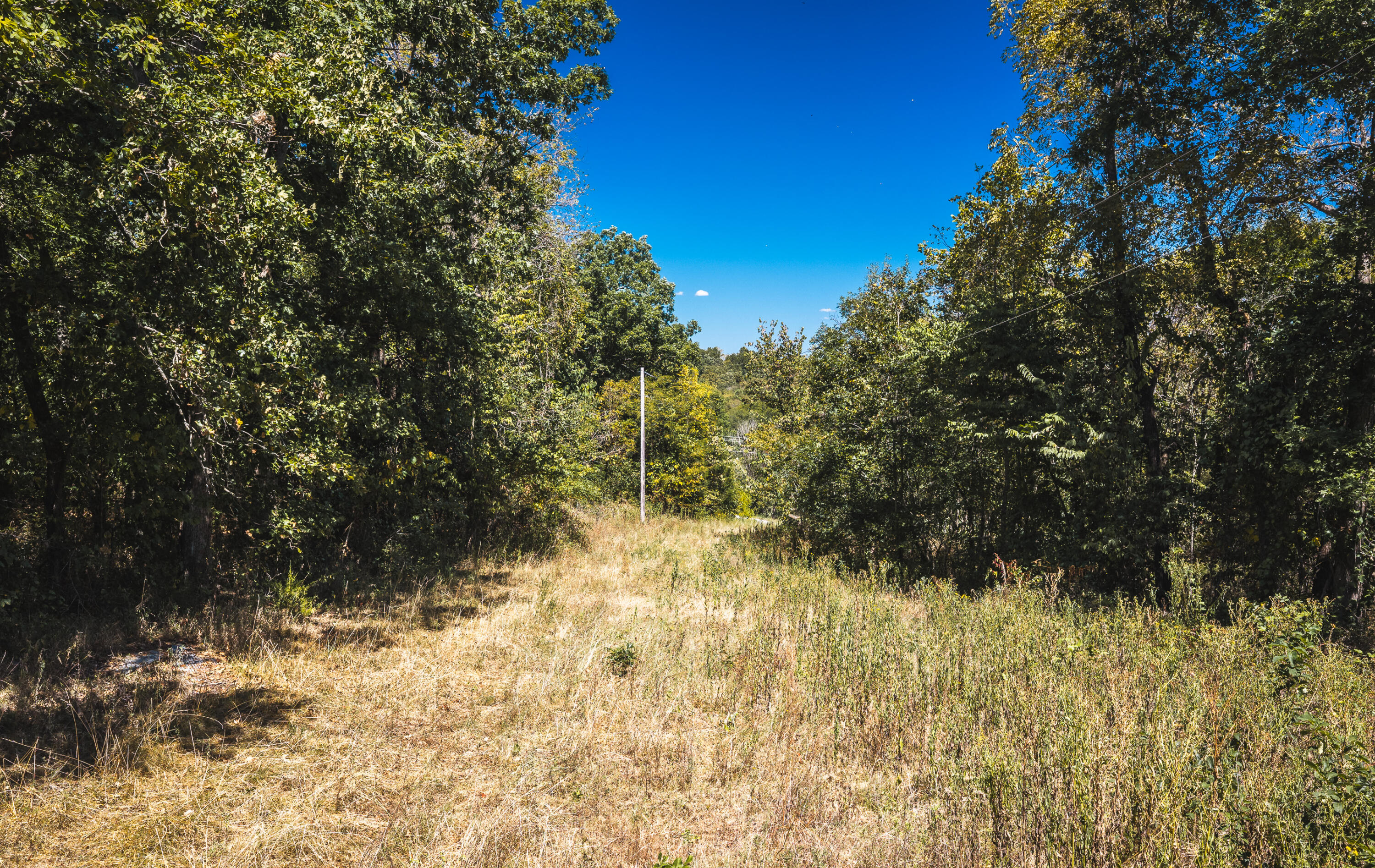 Photo 13 - Land for sale – 000  Missouri Road Mm   Windyville, MO