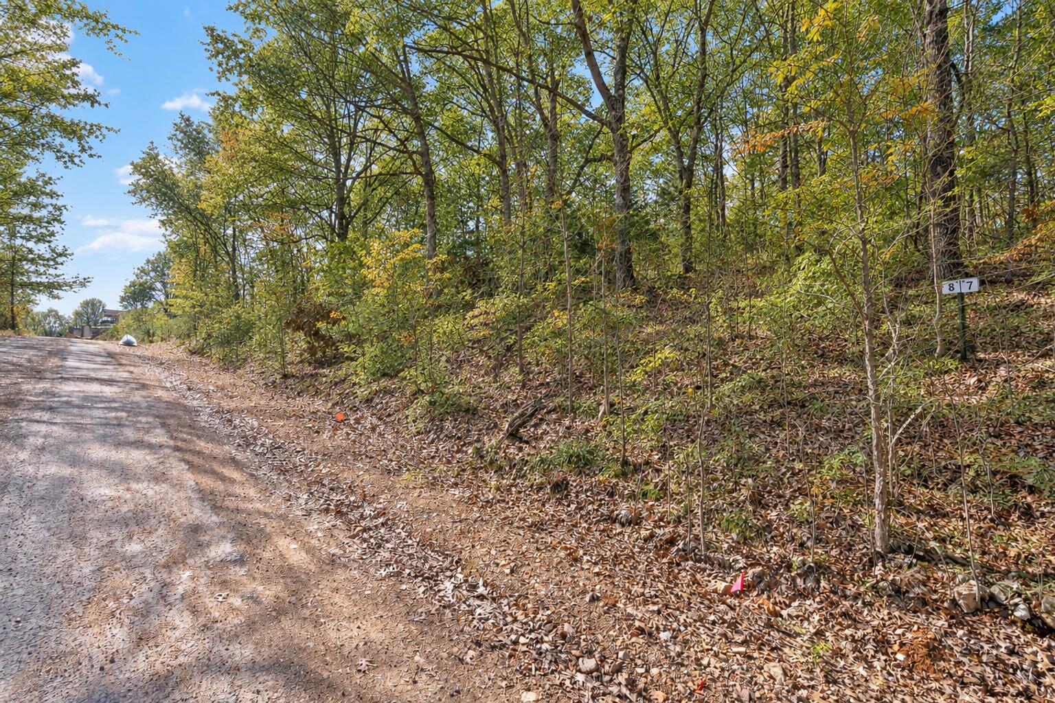 Photo 4 - Land for sale – Lot 8  Middlegate Place  Branson West, MO