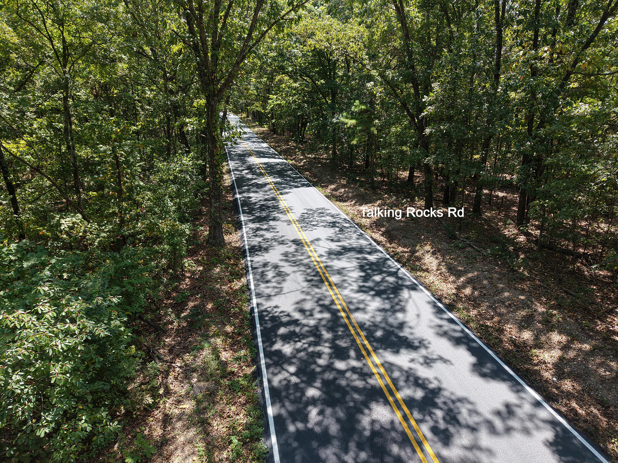 Photo 5 - Land for sale – 62  Seldom Seen Lane  Branson West, MO