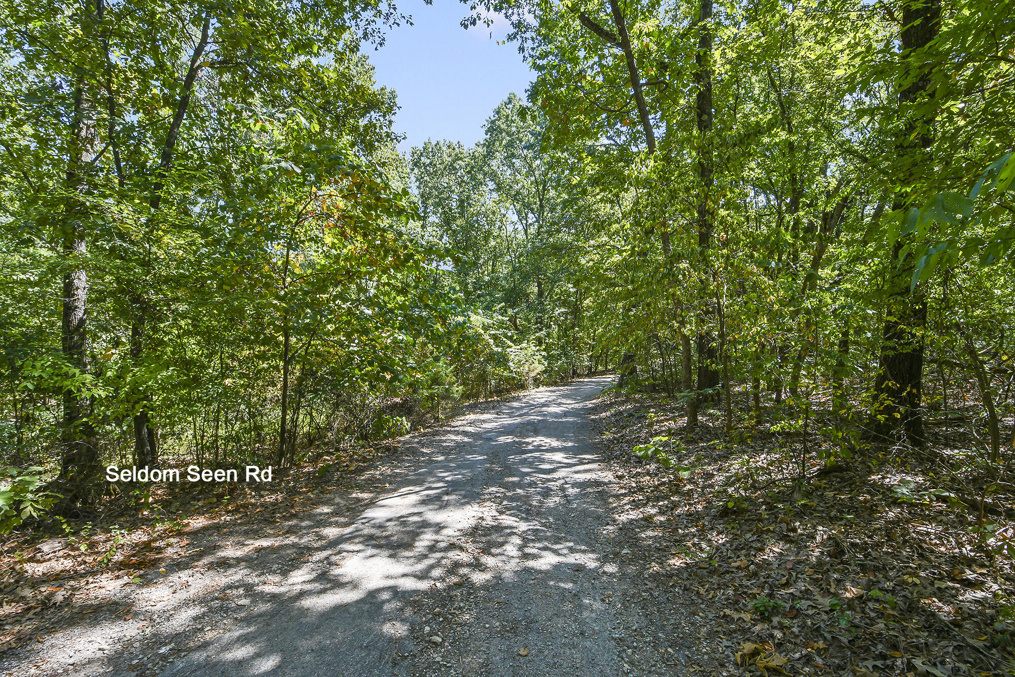 Photo 9 - Land for sale – 62  Seldom Seen Lane  Branson West, MO