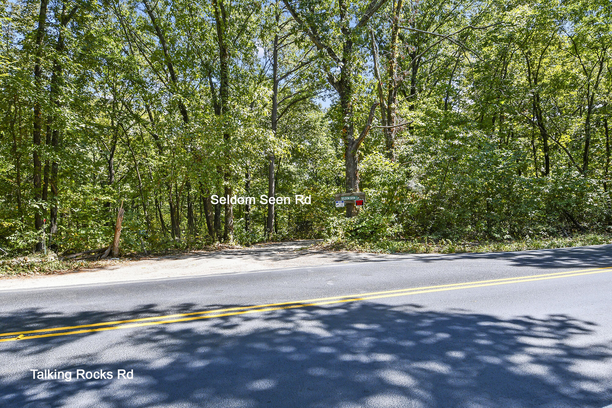 Photo 10 - Land for sale – 62  Seldom Seen Lane  Branson West, MO