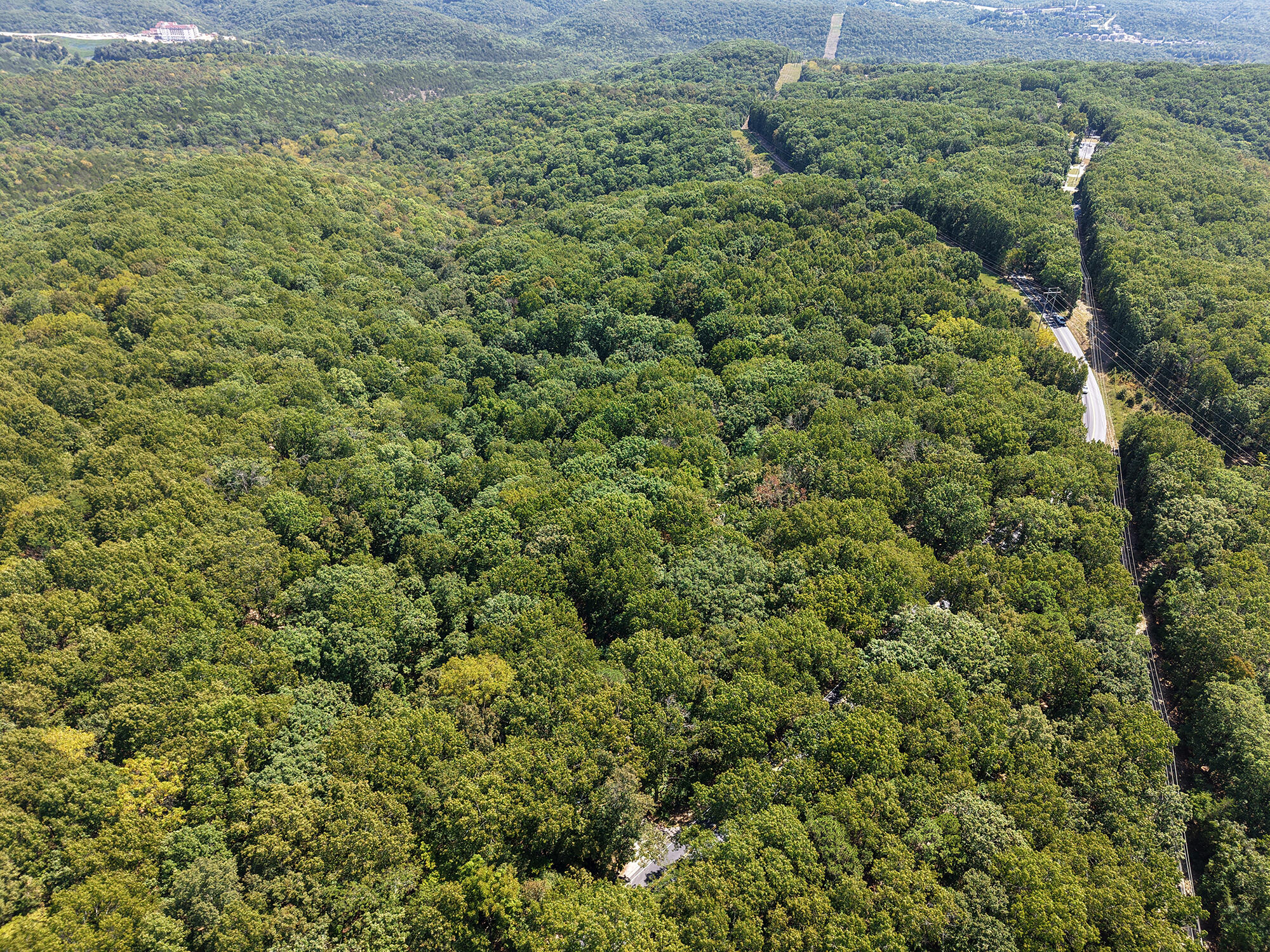 Photo 2 - Land for sale – 62  Seldom Seen Lane  Branson West, MO