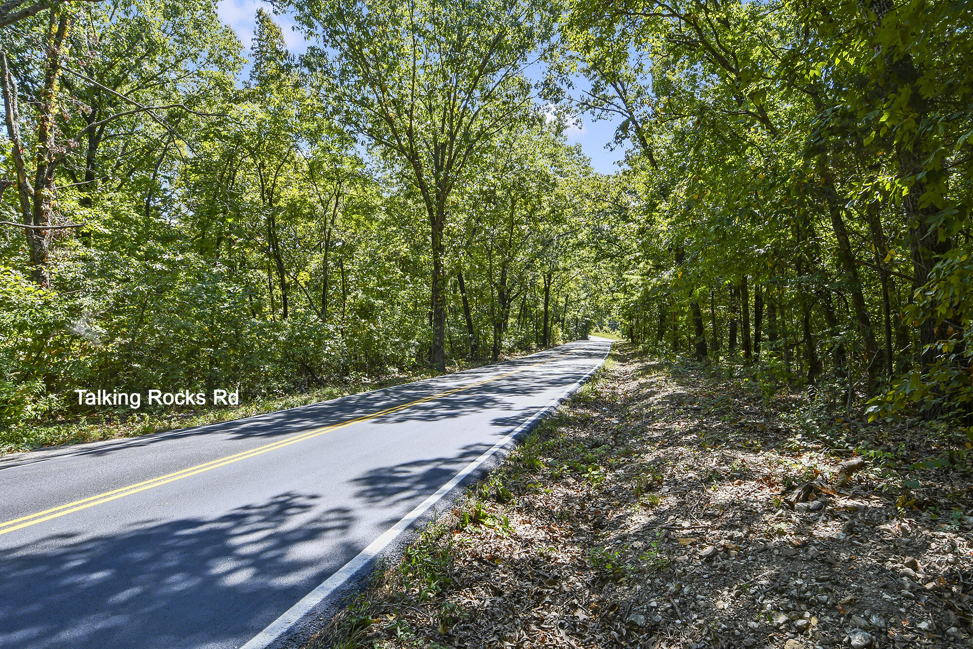 Photo 12 - Land for sale – 62  Seldom Seen Lane  Branson West, MO