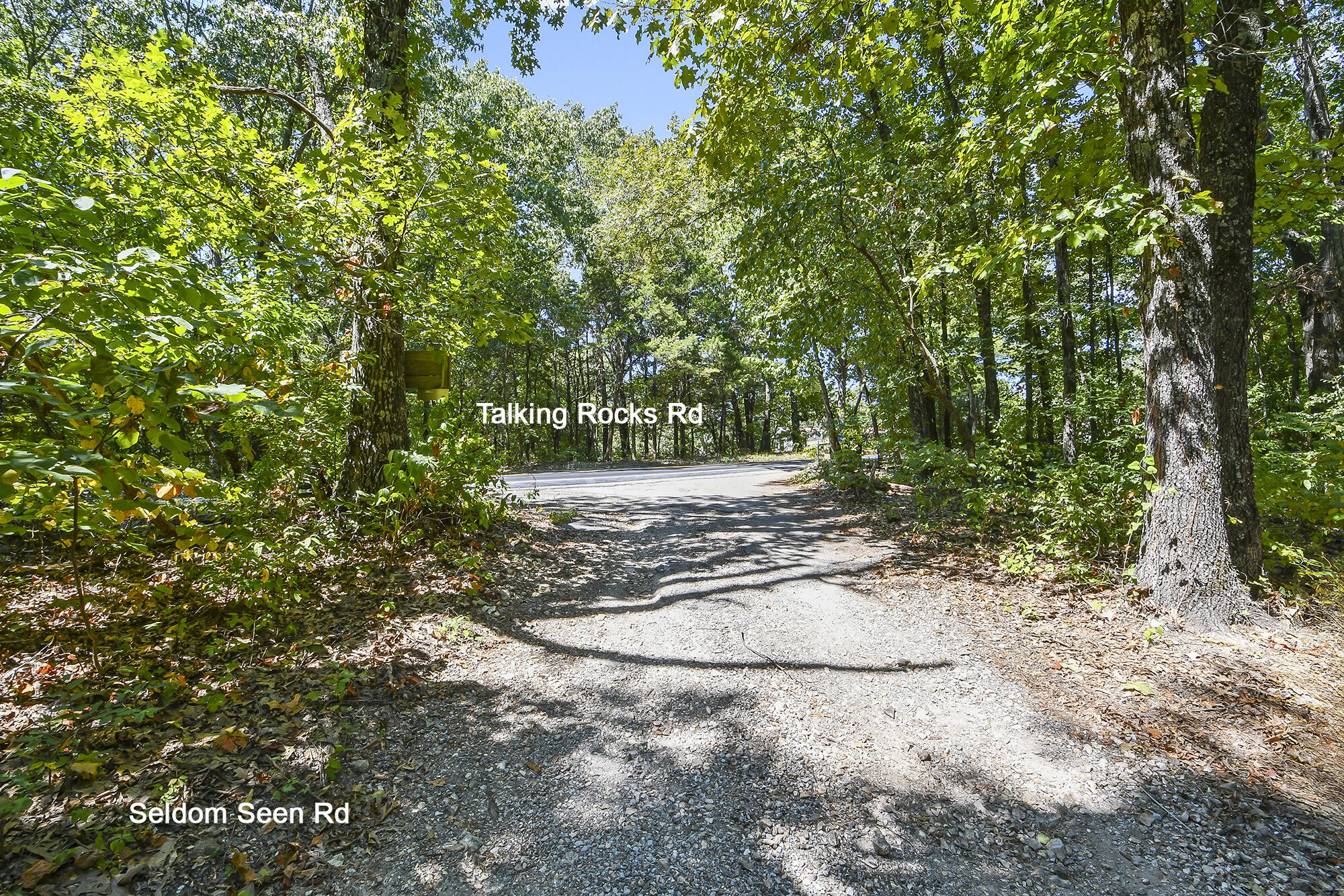 Photo 8 - Land for sale – 62  Seldom Seen Lane  Branson West, MO