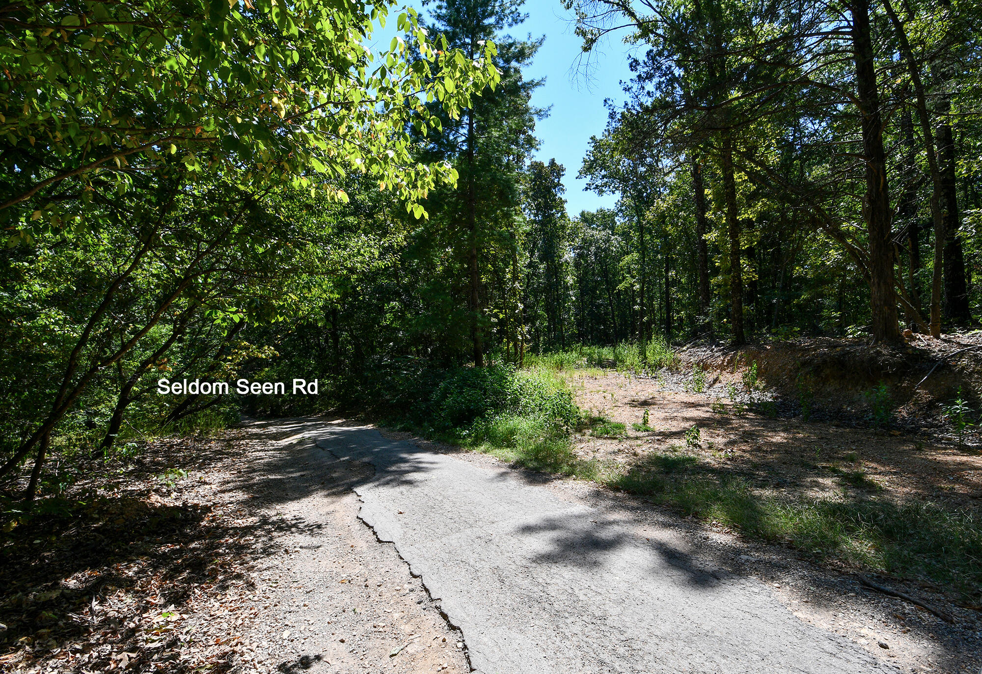 Photo 7 - Land for sale – 62  Seldom Seen Lane  Branson West, MO