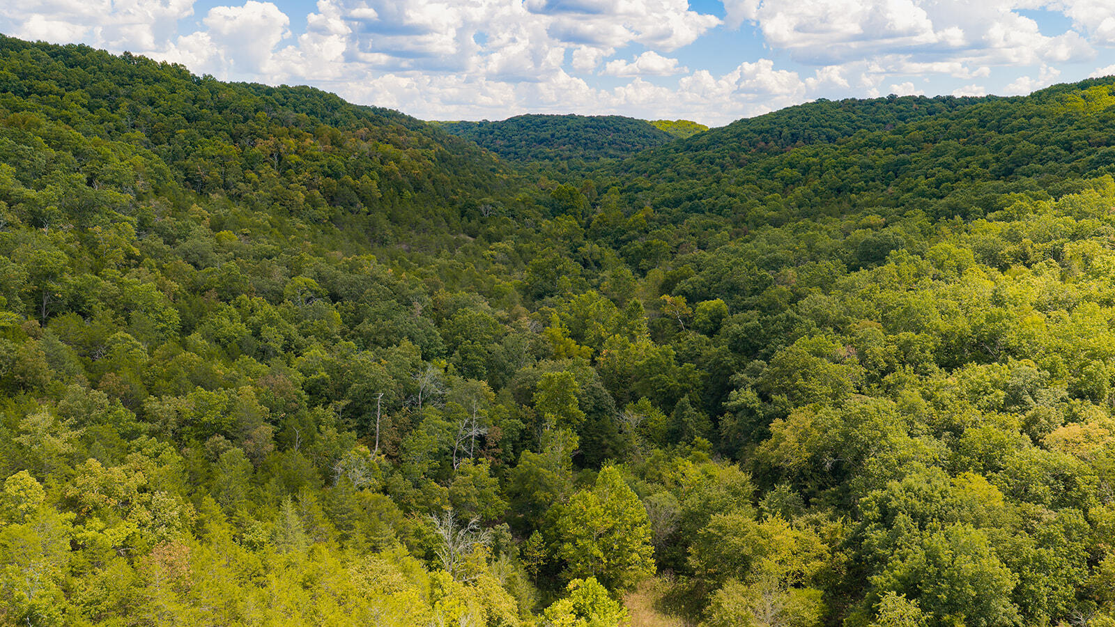 Photo 8 - Land for sale – Tract T  Ozark Road   Galena, MO